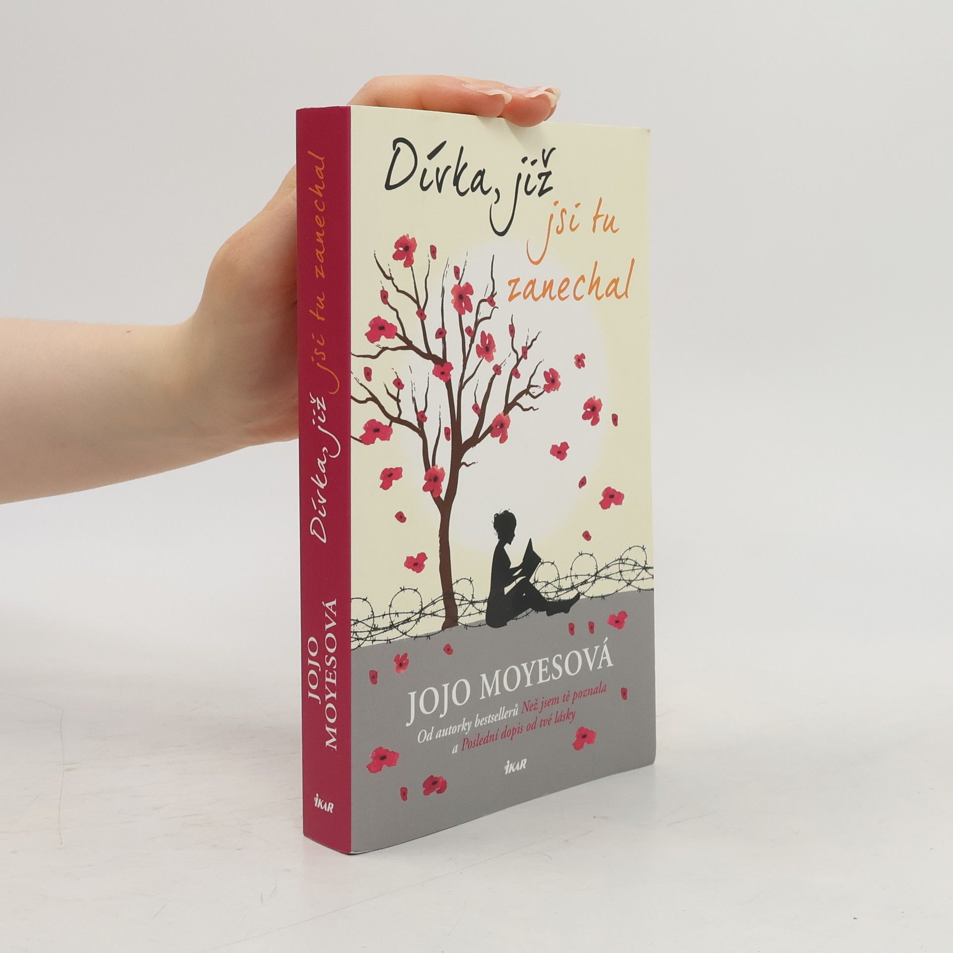Jojo Moyes Dívka, již jsi tu zanechal