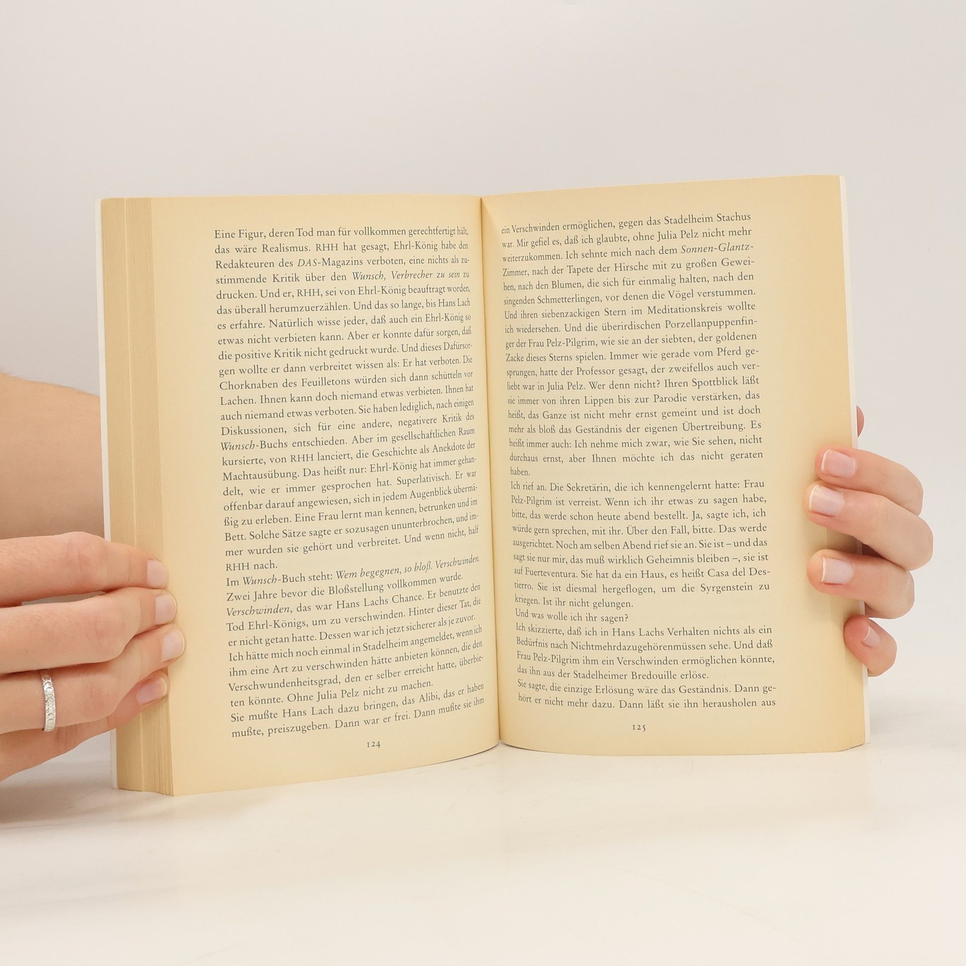 Martin Johannes Walser Tod eines Kritikers