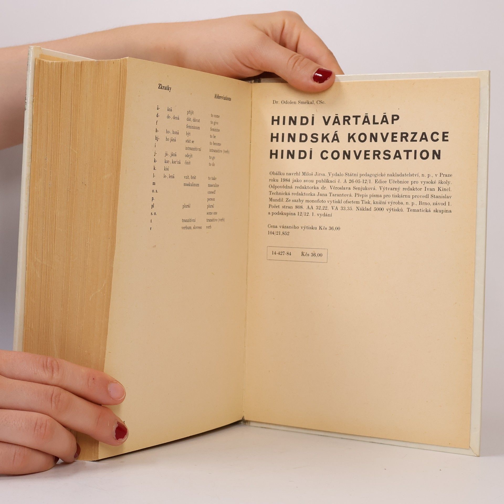 Odolen Smékal Hindská konverzace. Hindī conversation. Hindī vārtālāp