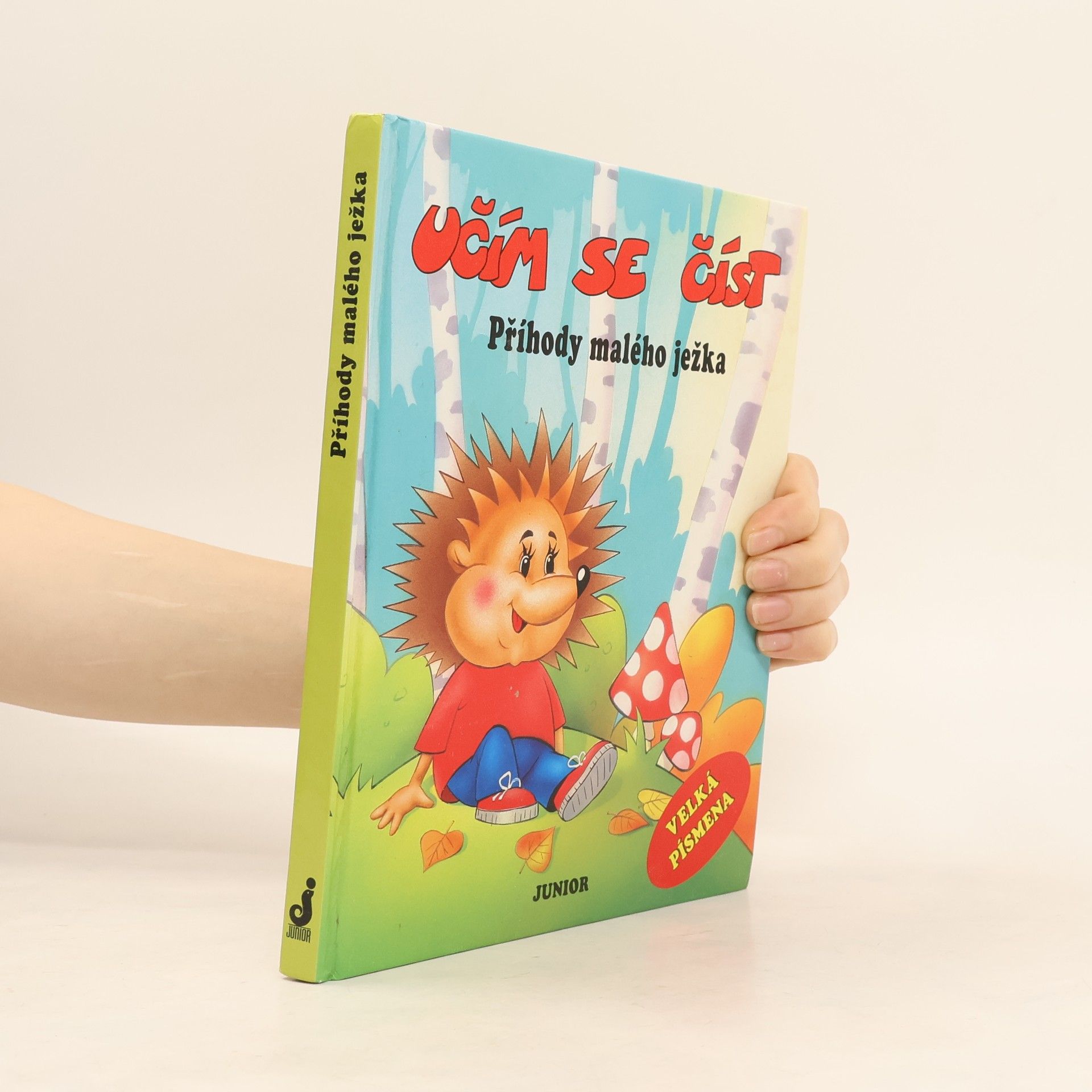 Patrycja Zarawska Příhody malého ježka