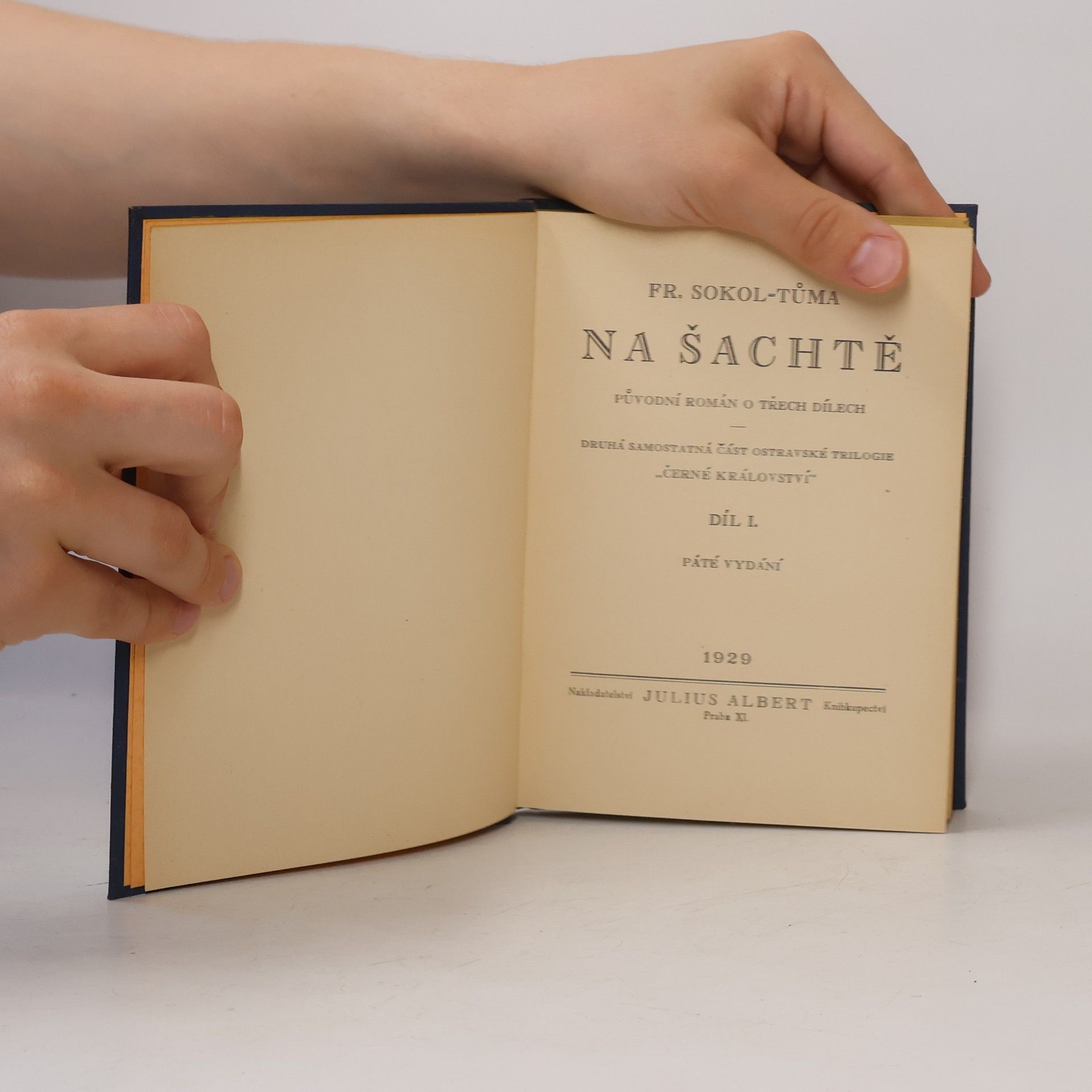 František Sokol Tůma Na šachtě I