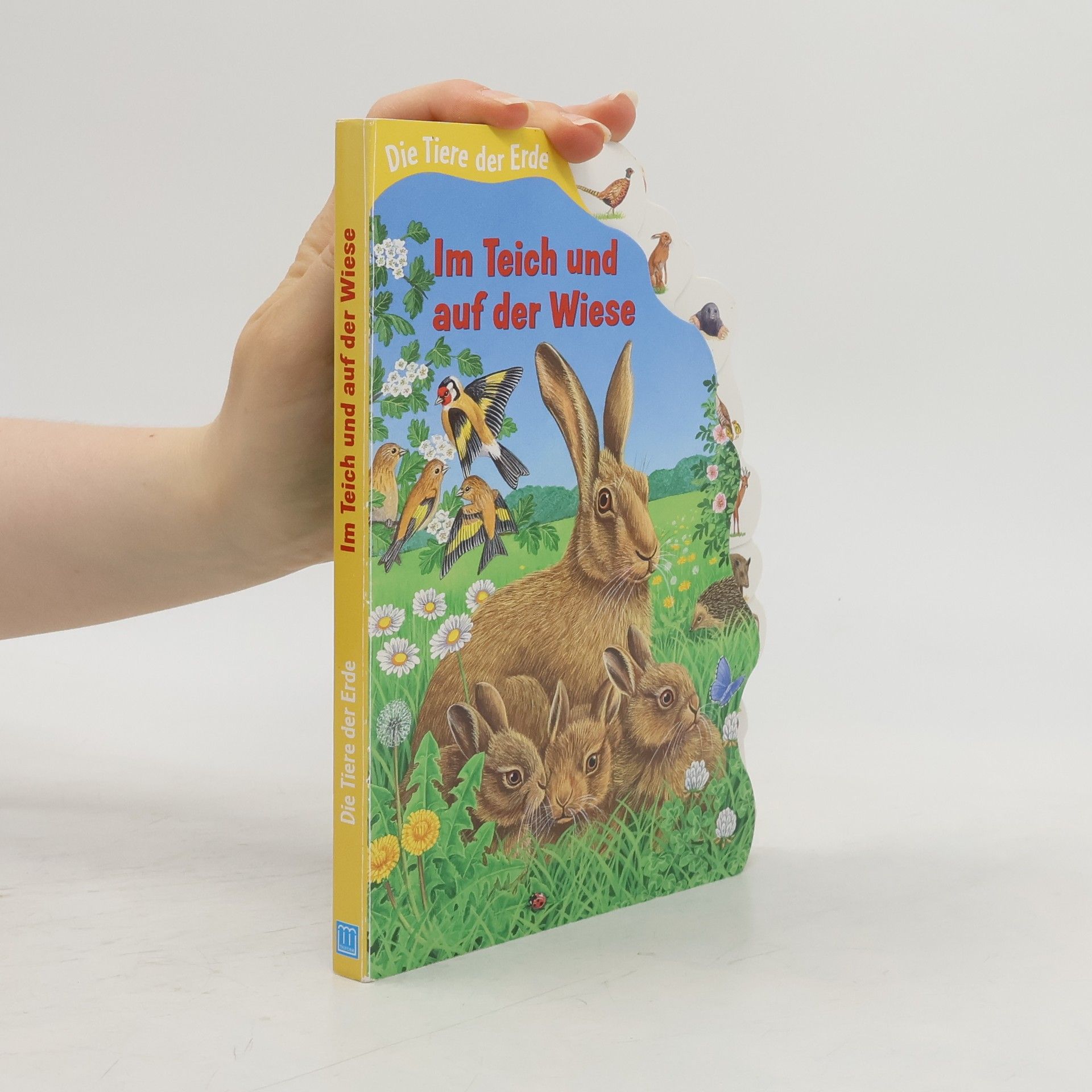 Autorenkollektiv Die Tiere der Erde: Im Teich und auf der Wiese