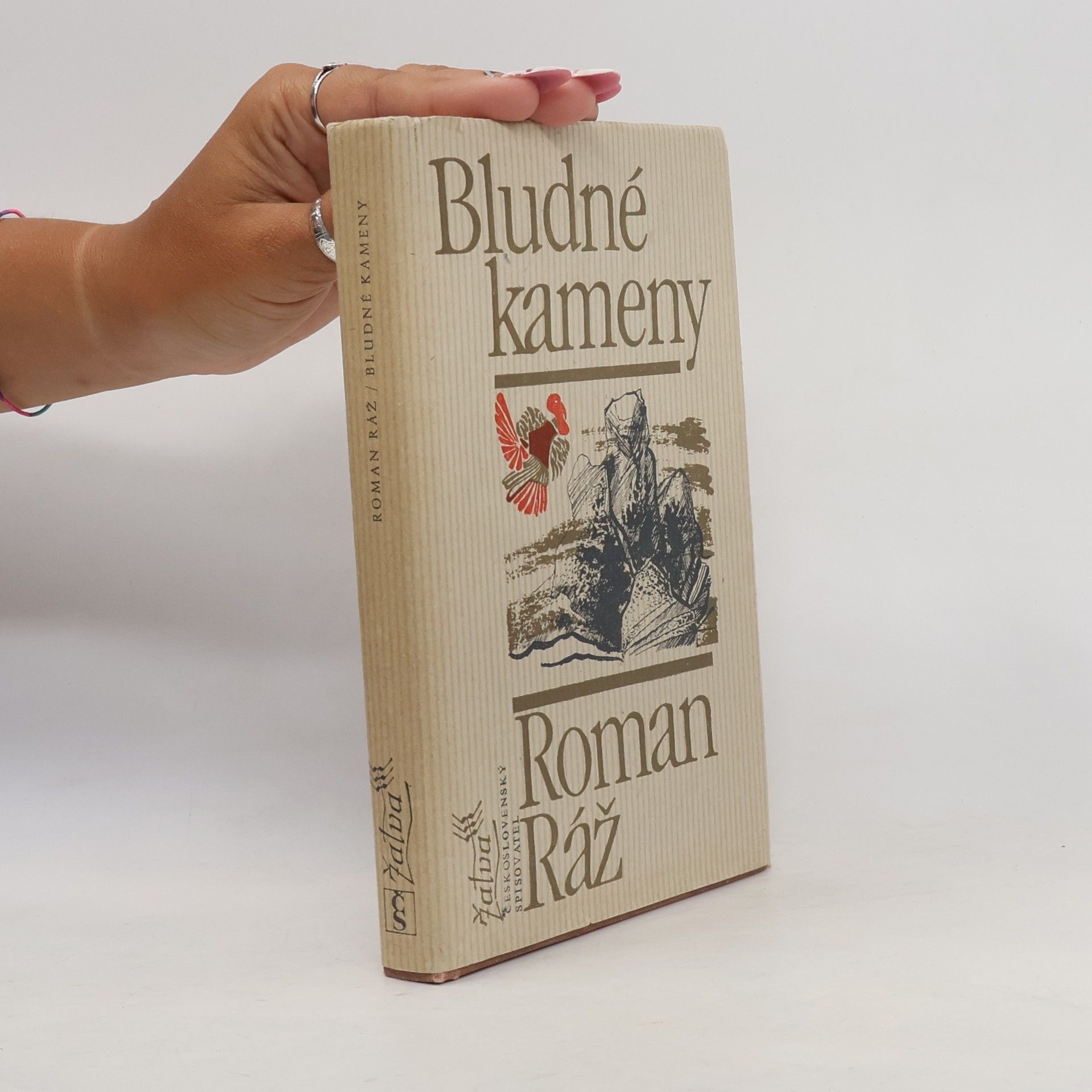 Roman Ráž Bludné kameny
