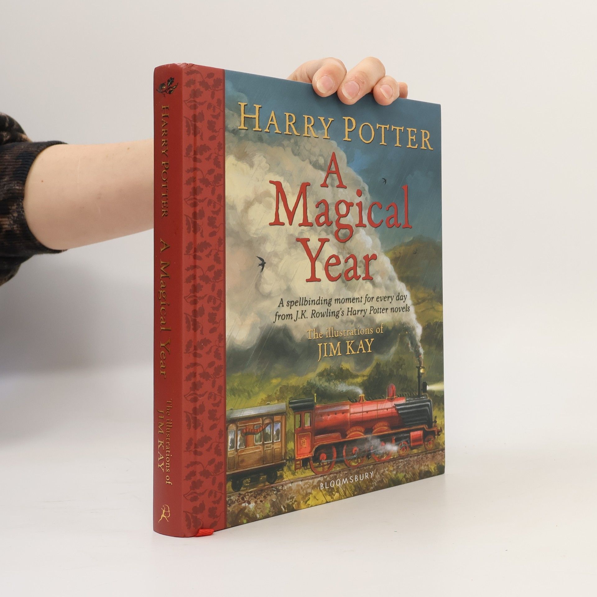 Joanne K. Rowlingová Harry Potter. A Magical Year