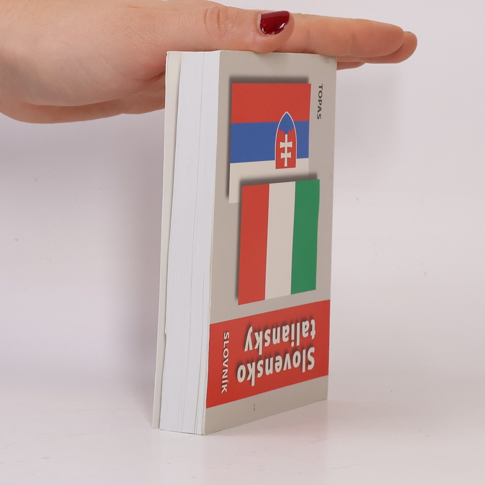 Kolektiv autorů Italiano-slovacco dizionario. Slovensko-talinsky slovník