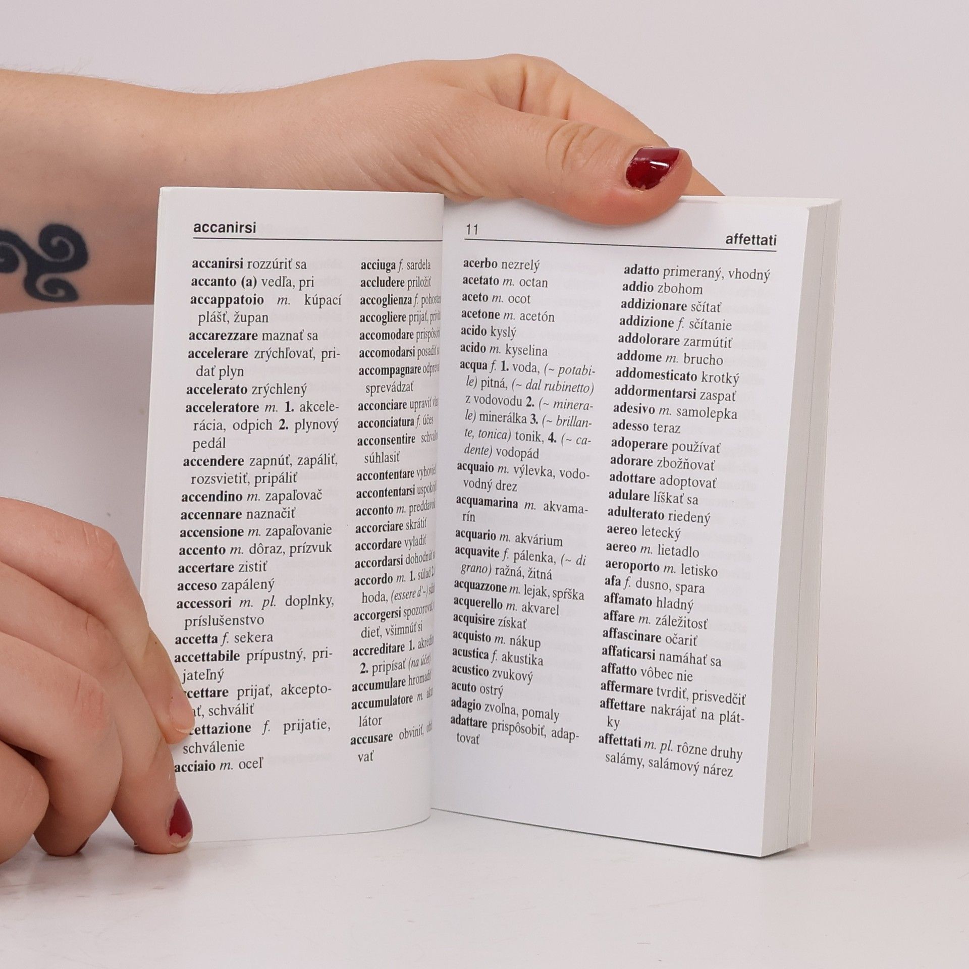Kolektiv autorů Italiano-slovacco dizionario. Slovensko-talinsky slovník