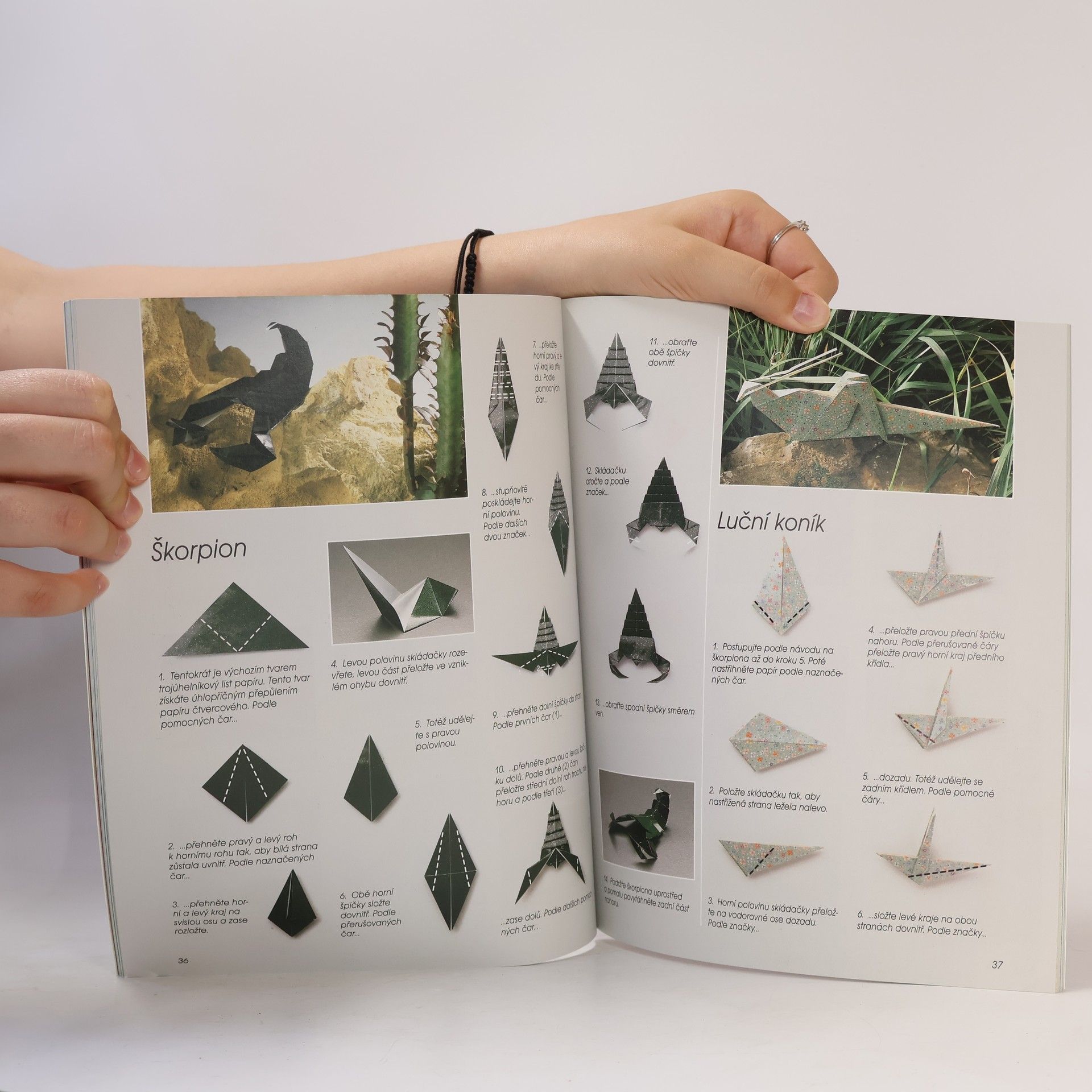 Zülal AytüreScheele Kouzelné origami: Svět papírových zvířátek