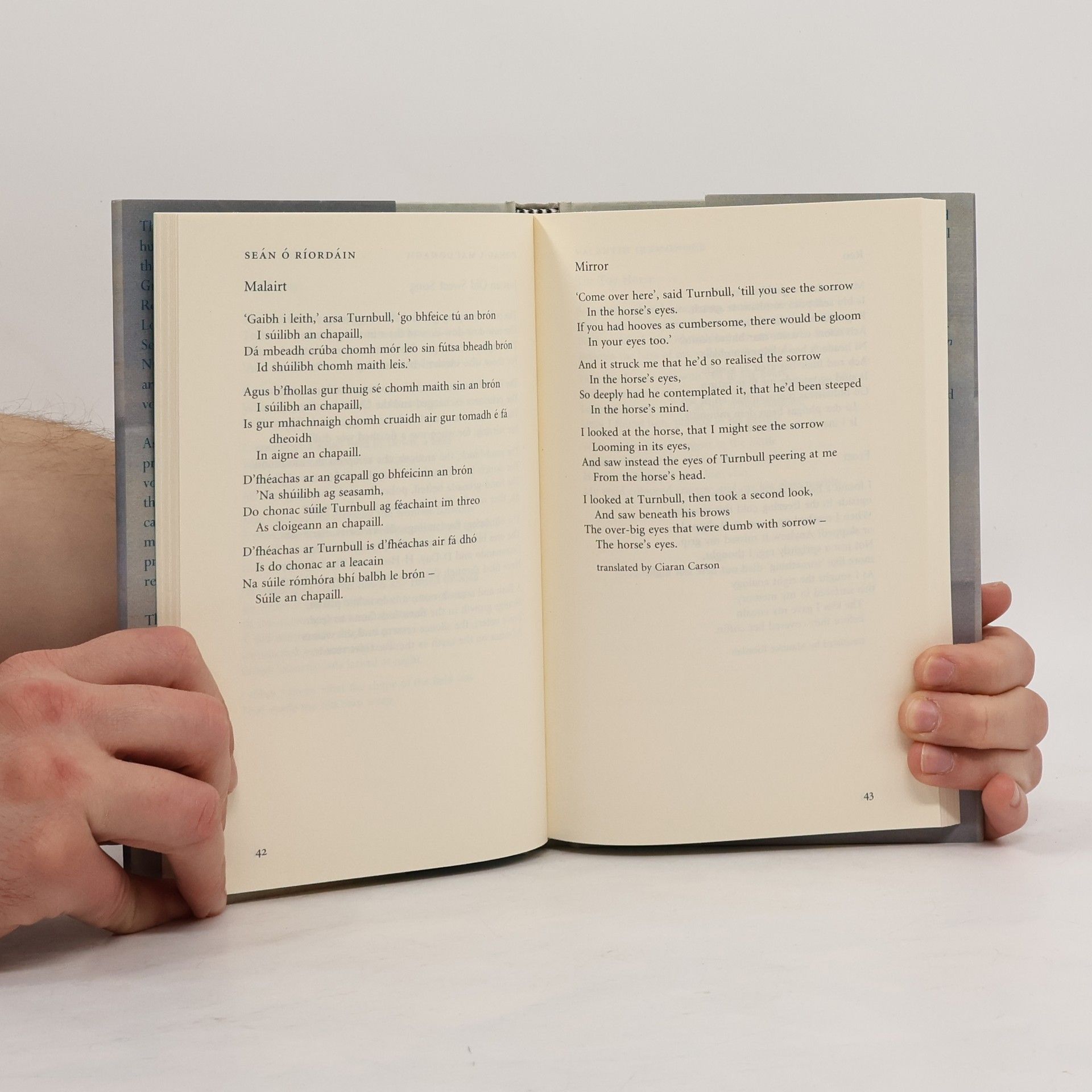 Michael Longley Poet to Poet: 20th-Century Irish Poems