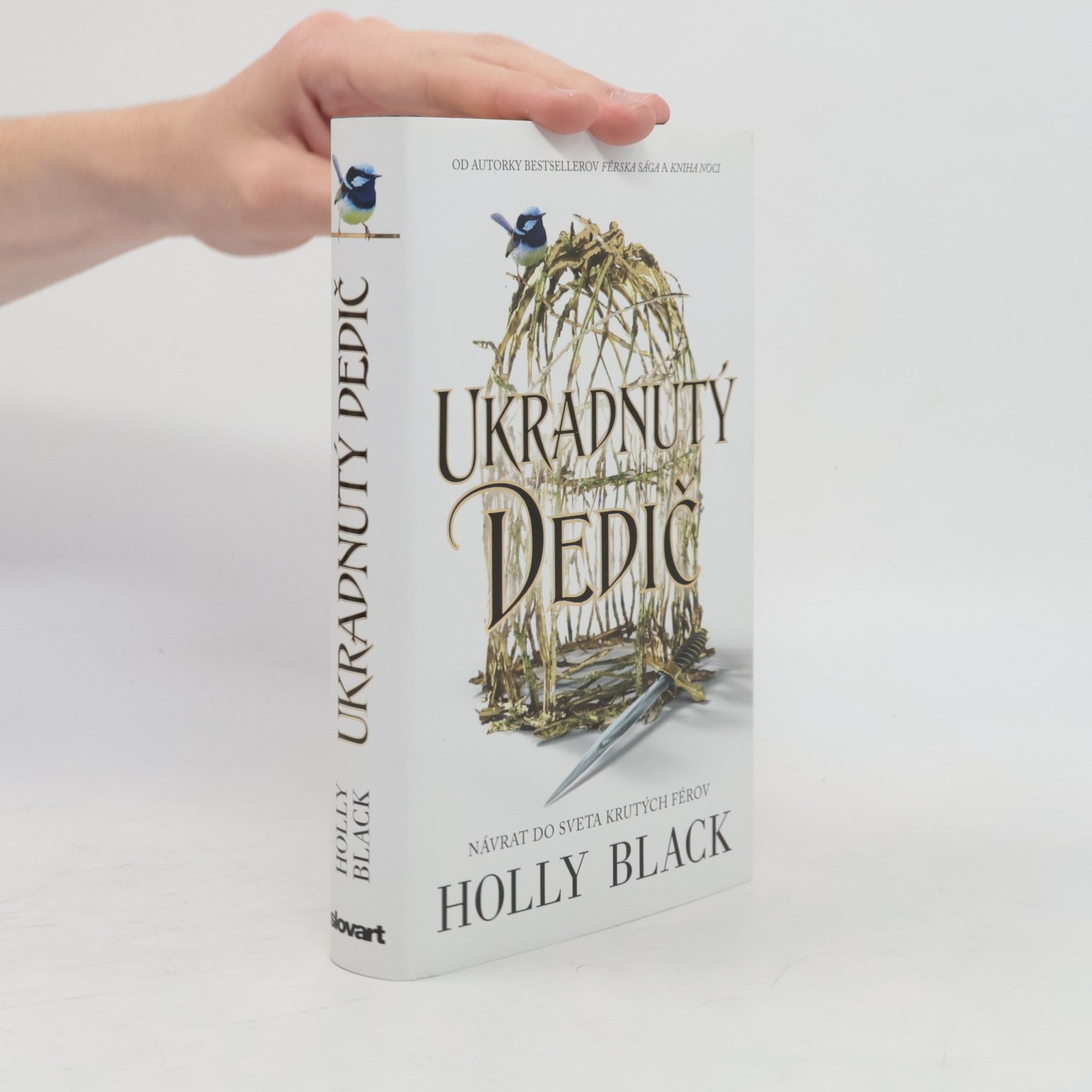Holly Black Ukradnutý Dedič