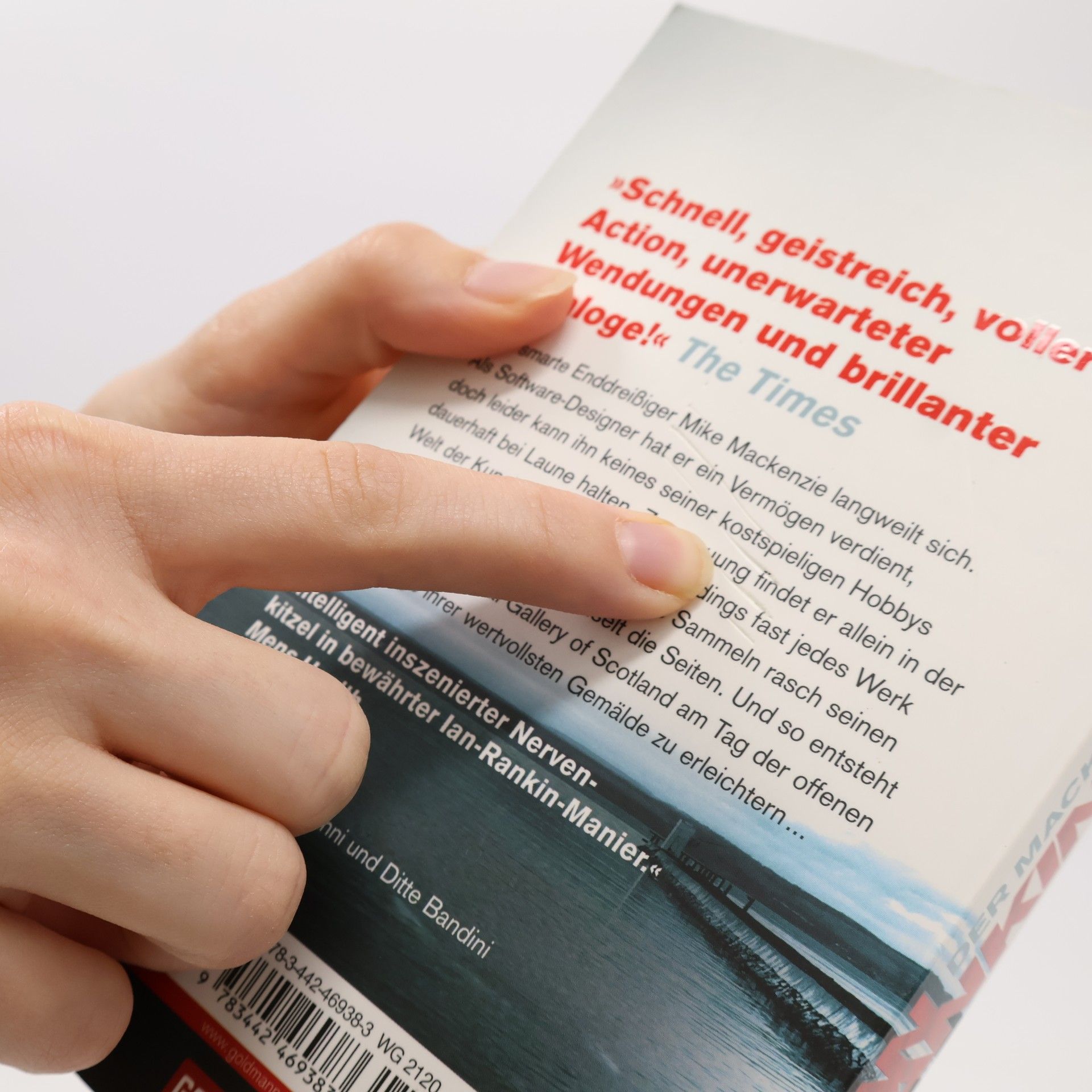 Ian Rankin Der Mackenzie Coup