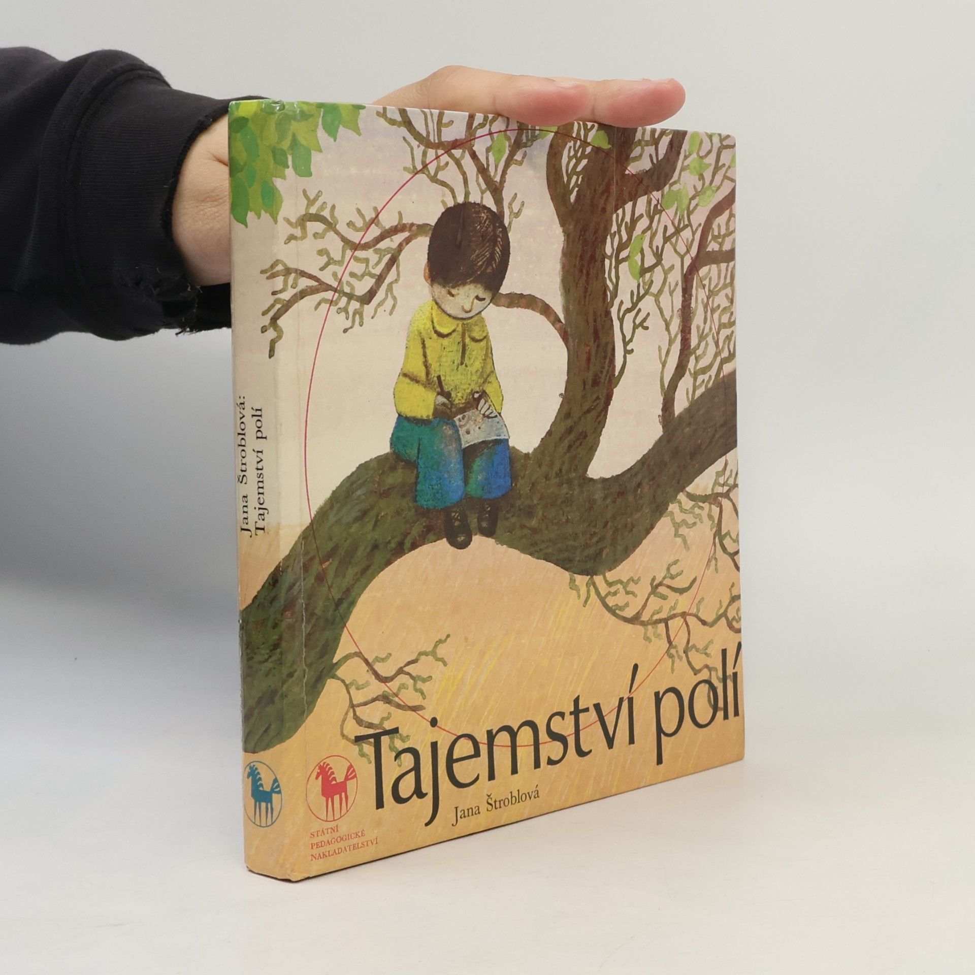 Jana Štroblová Tajemství polí