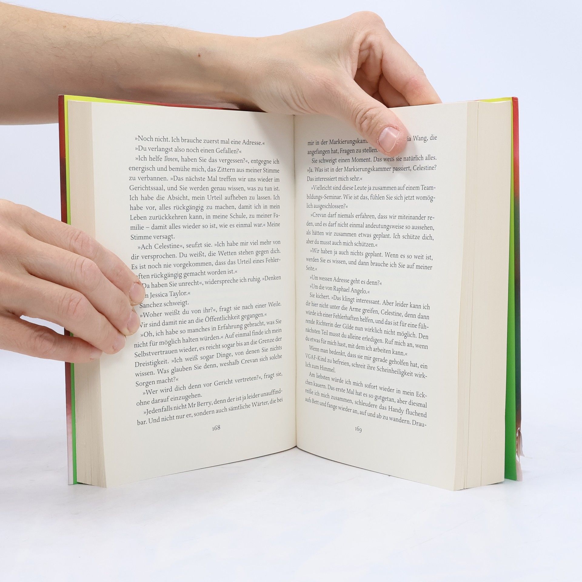 Cecelia Ahern Perfect - willst du die perfekte Welt?