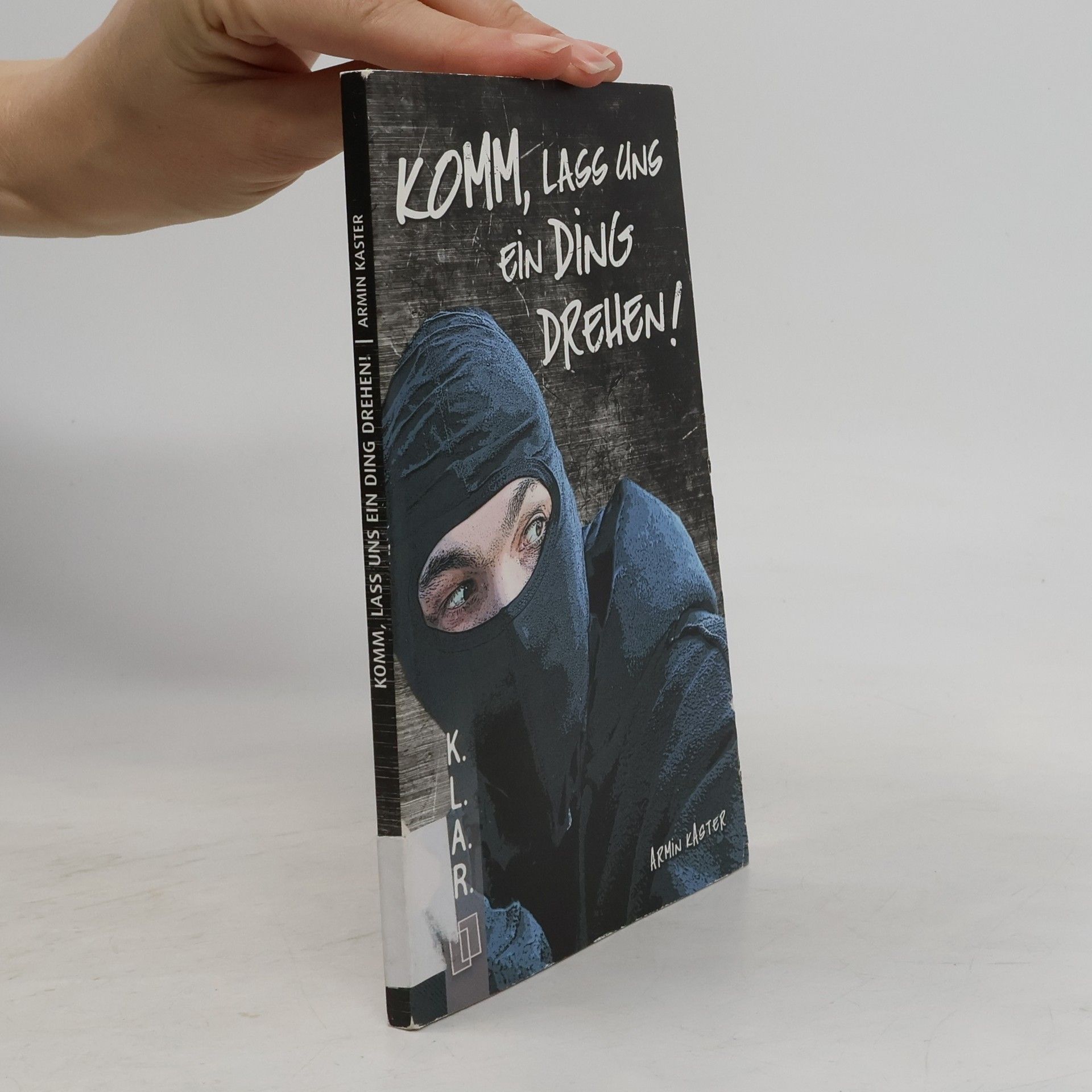 Britta Book Komm, lass uns ein Ding drehen!, Literatur-Kartei