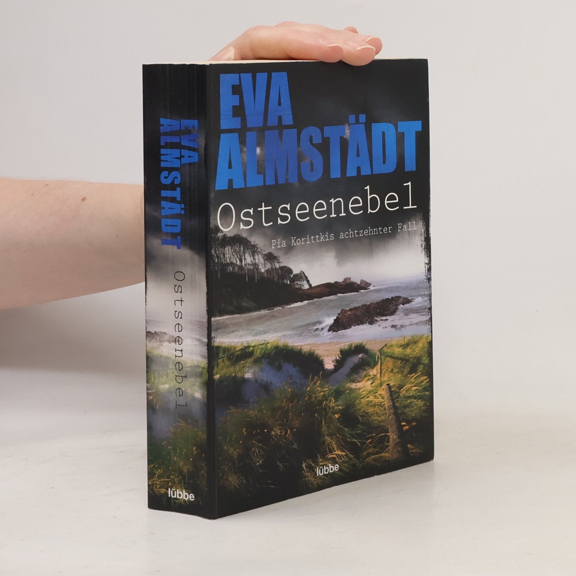 Eva Almstädt Ostseenebel