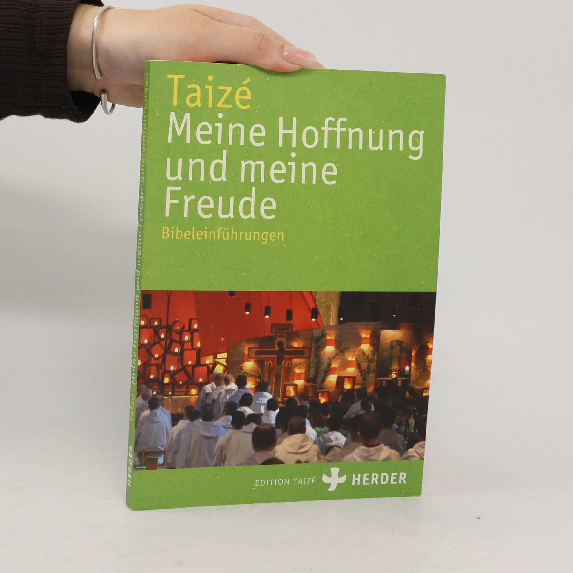 Community of Taizé Meine Hoffnung und meine Freude: Bibeleinführungen