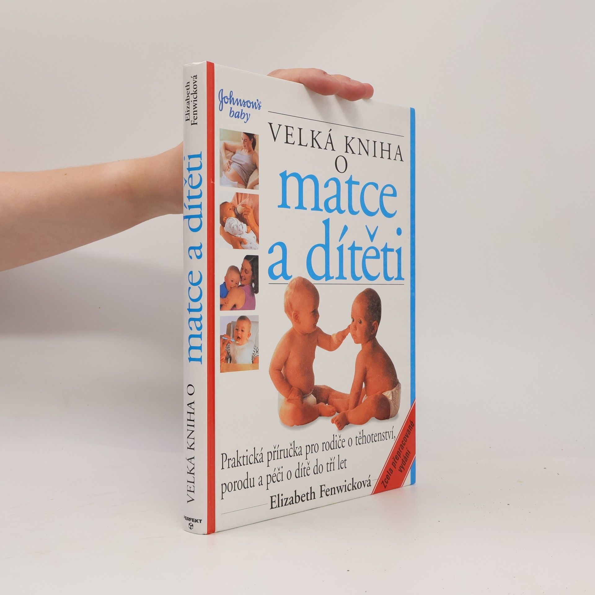 Elizabeth Fenwick Velká kniha o matce a dítěti