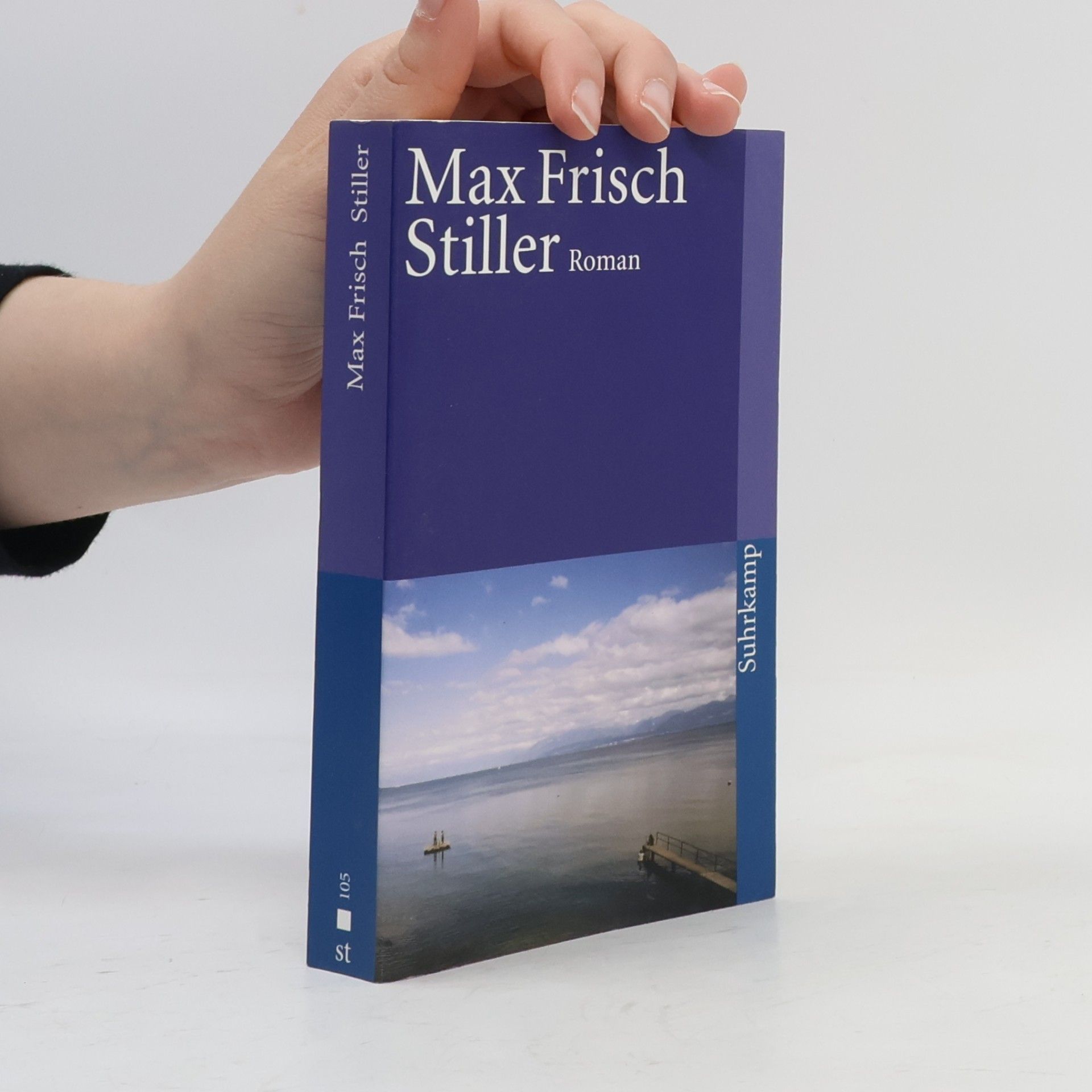 Max Frisch Stiller