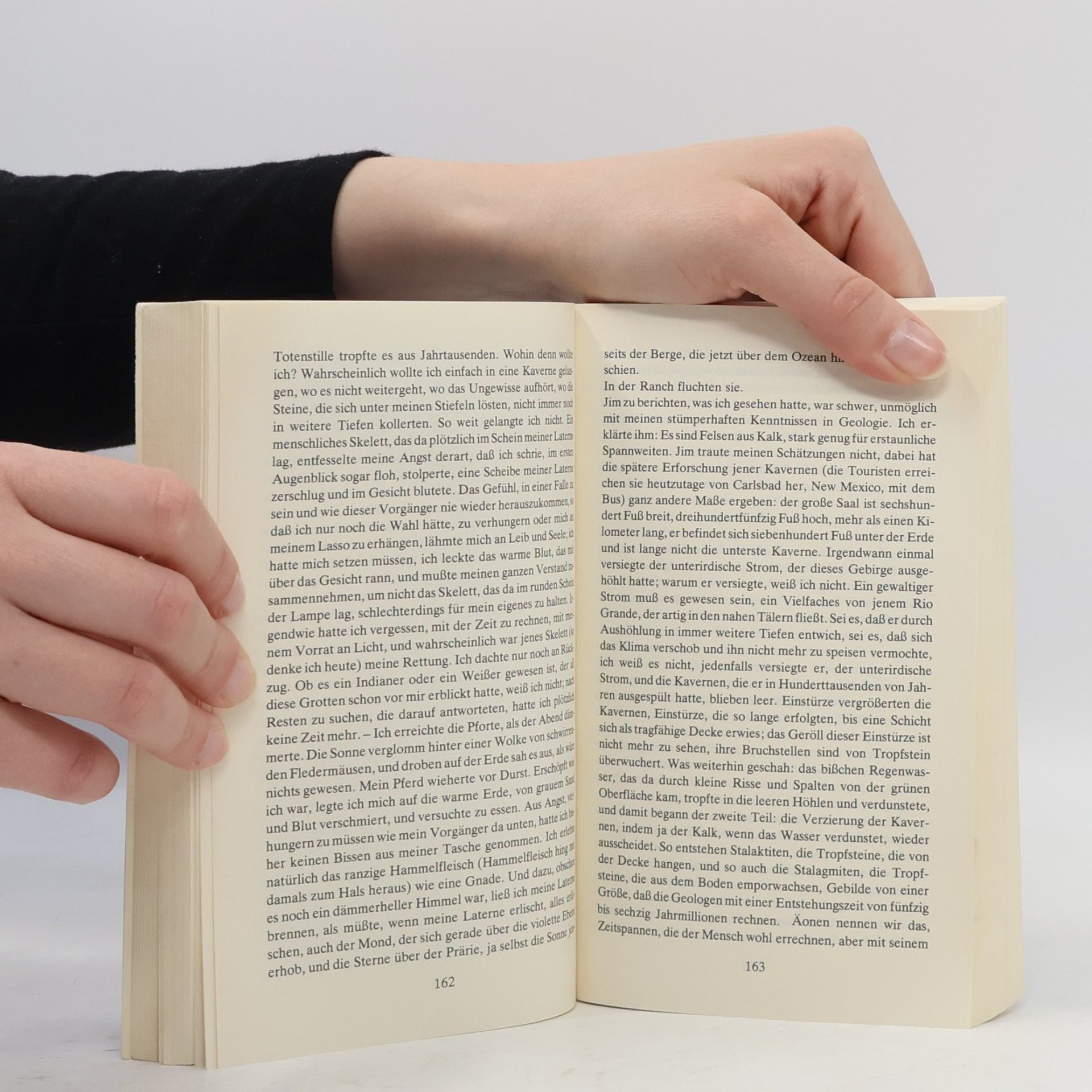 Max Frisch Stiller