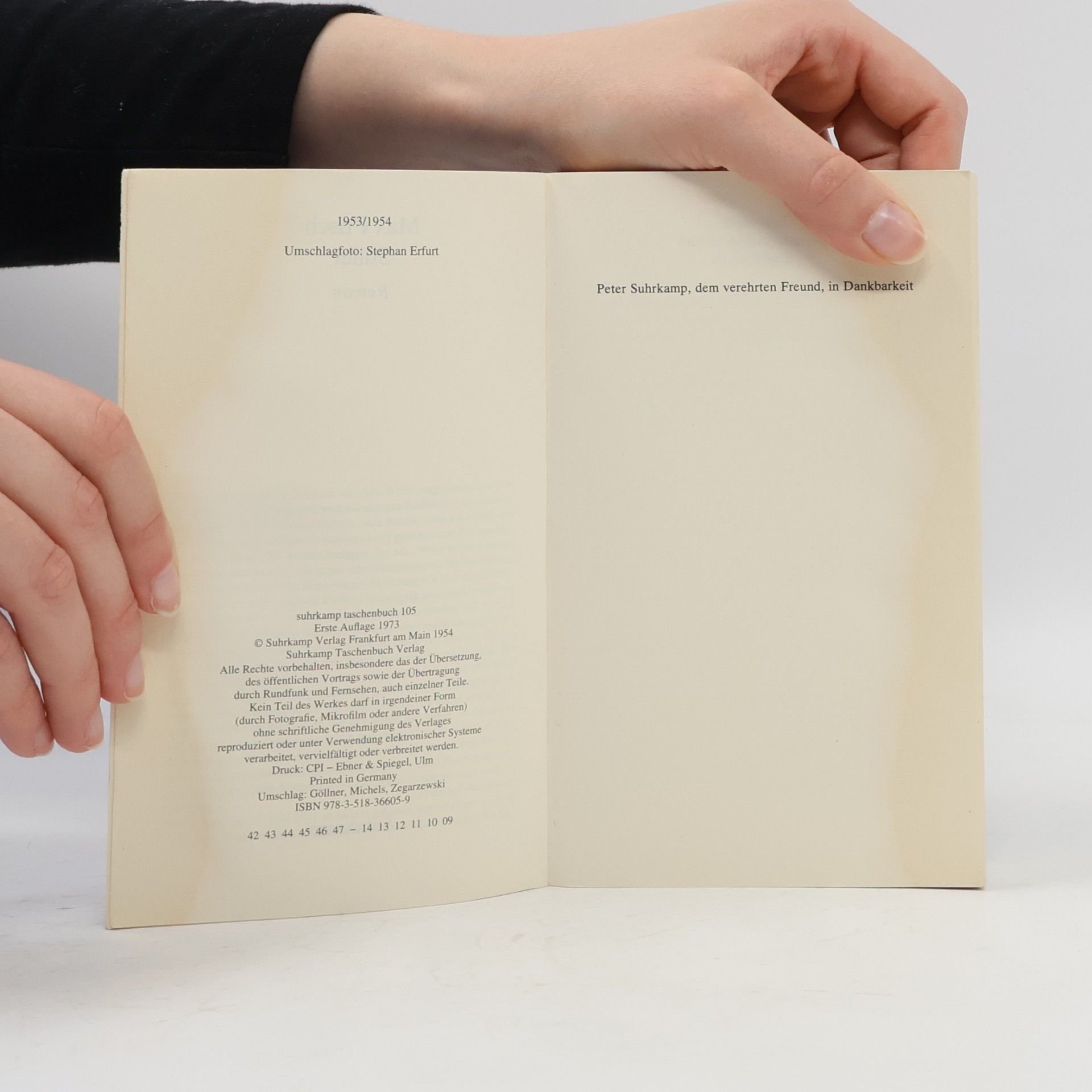 Max Frisch Stiller