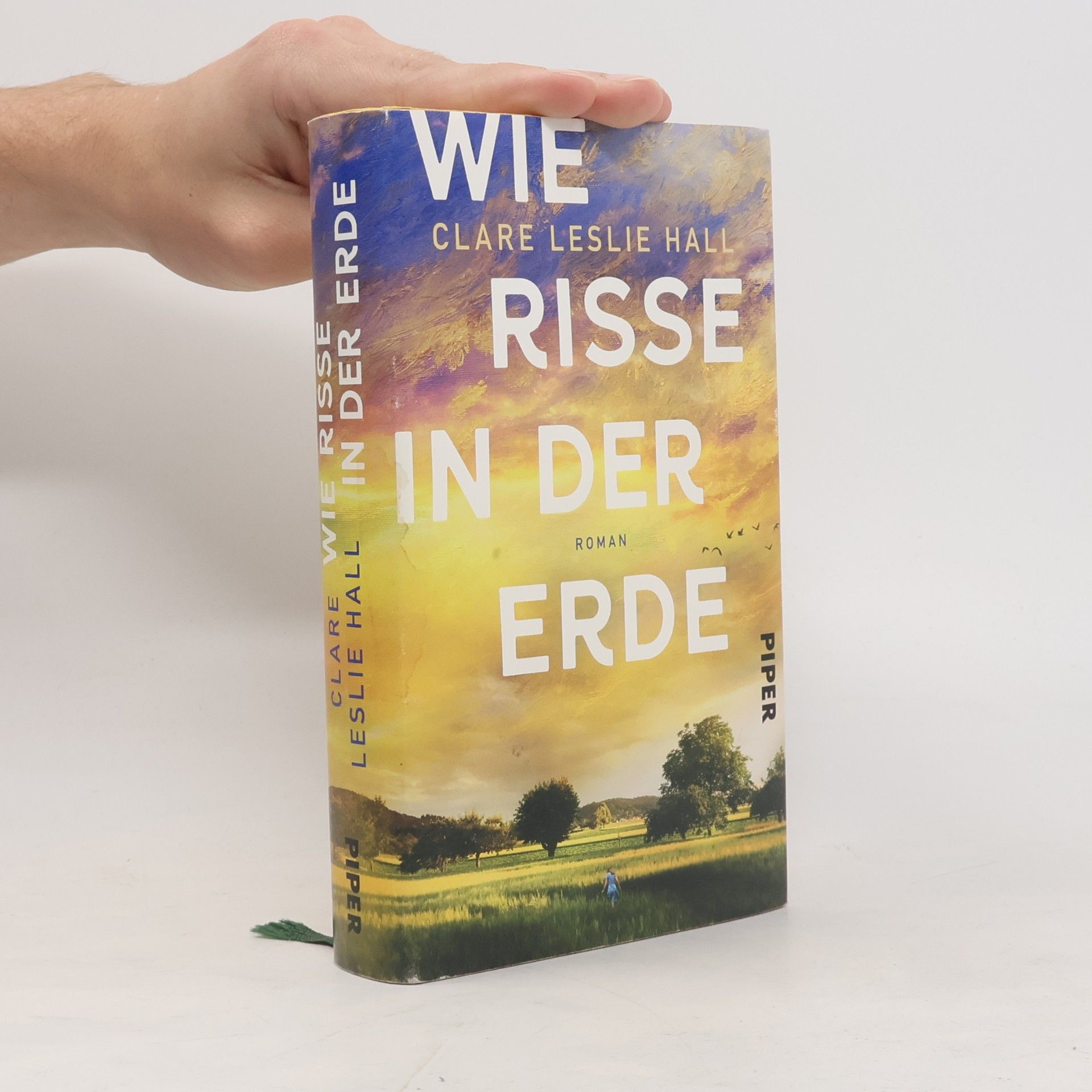 Clare Leslie Hall Wie Risse in der Erde
