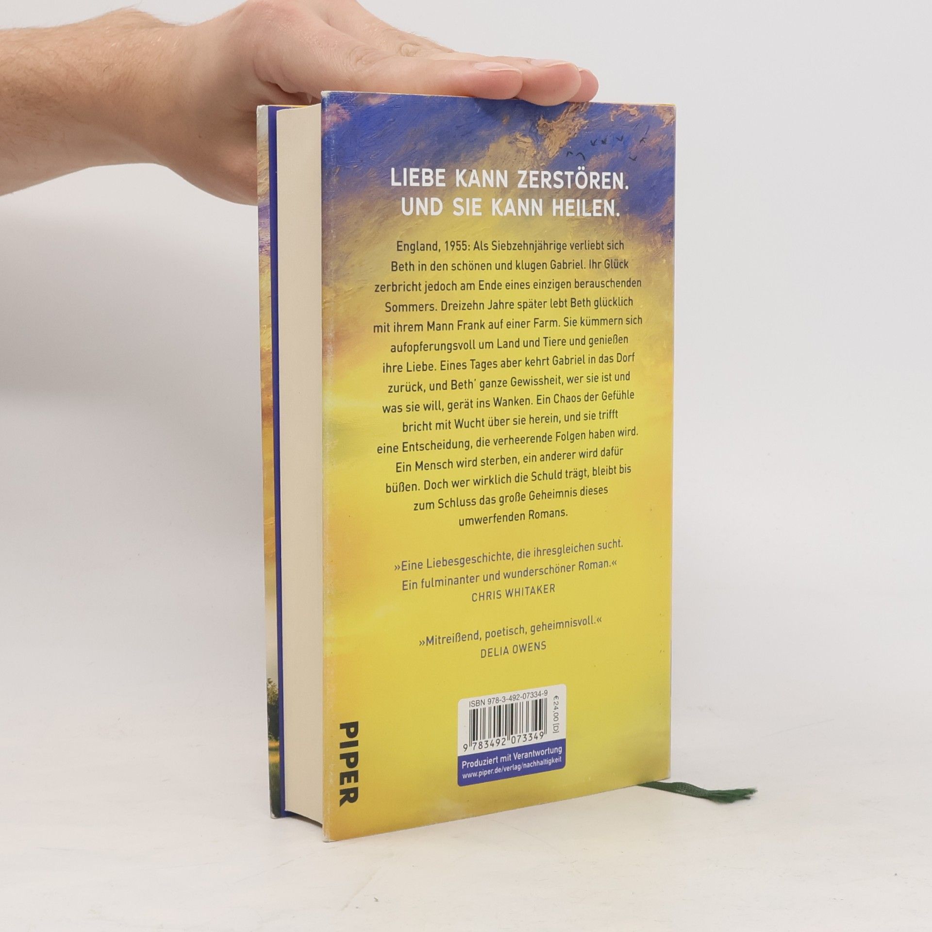 Clare Leslie Hall Wie Risse in der Erde