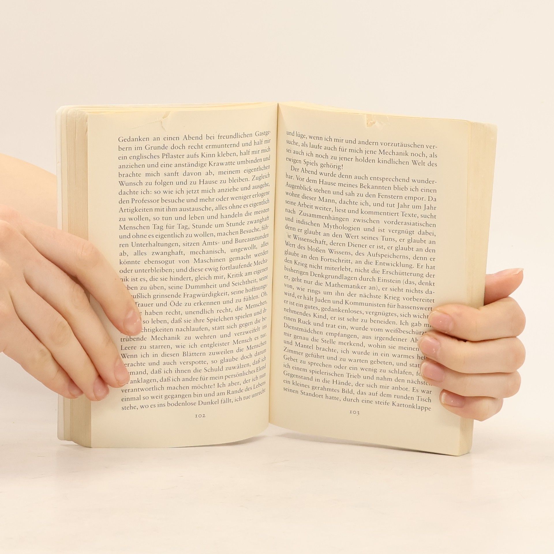 Hermann Hesse Der Steppenwolf