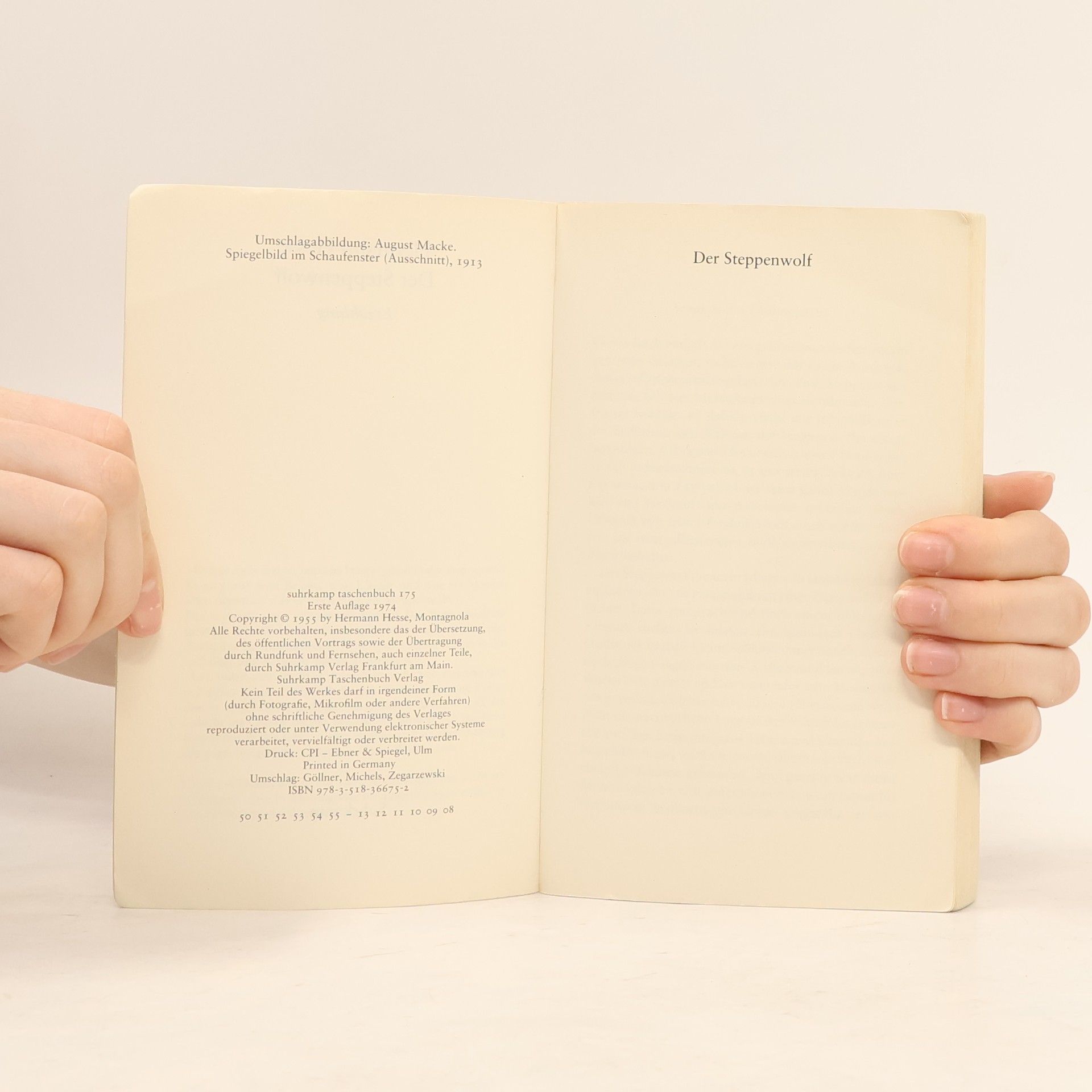 Hermann Hesse Der Steppenwolf