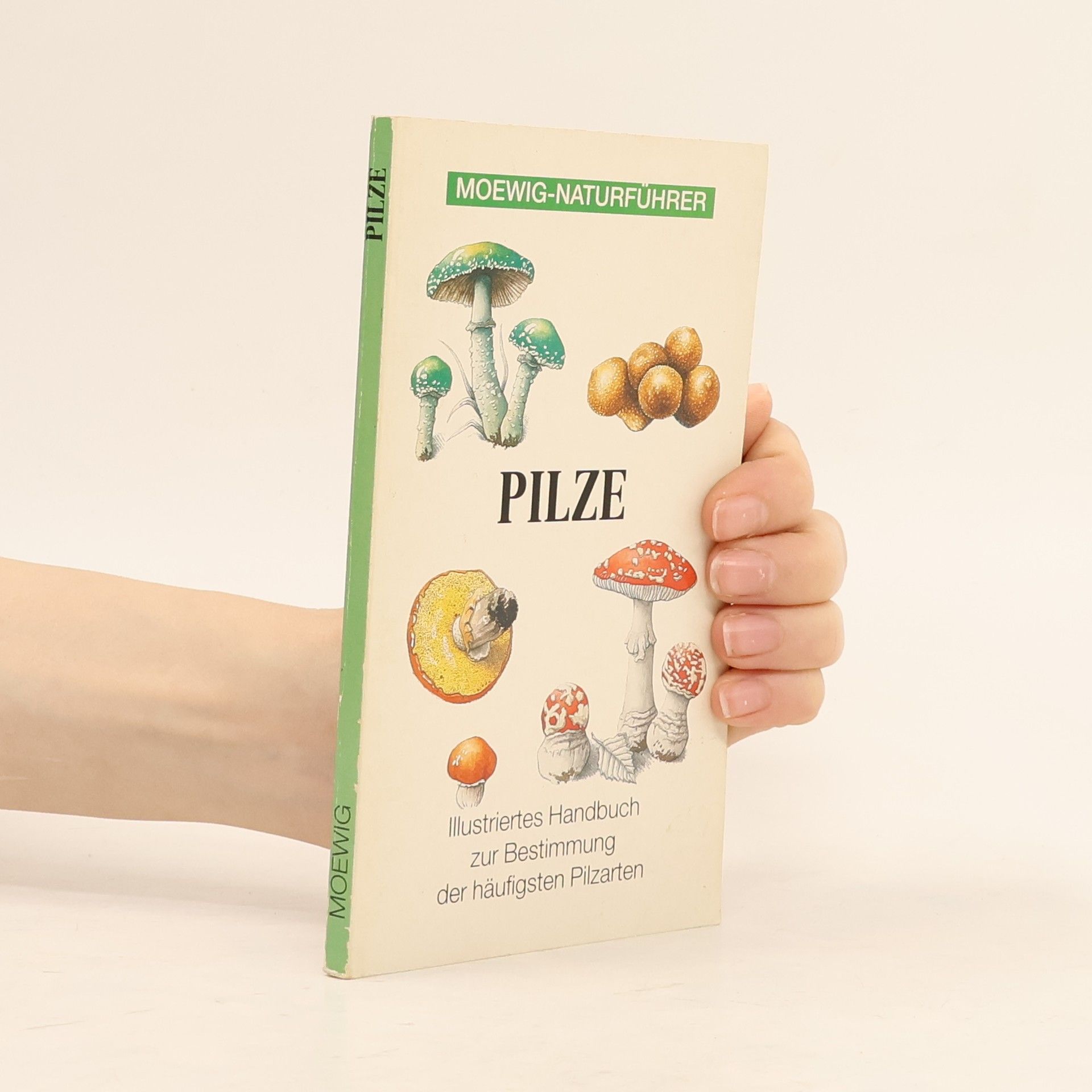 Pilze