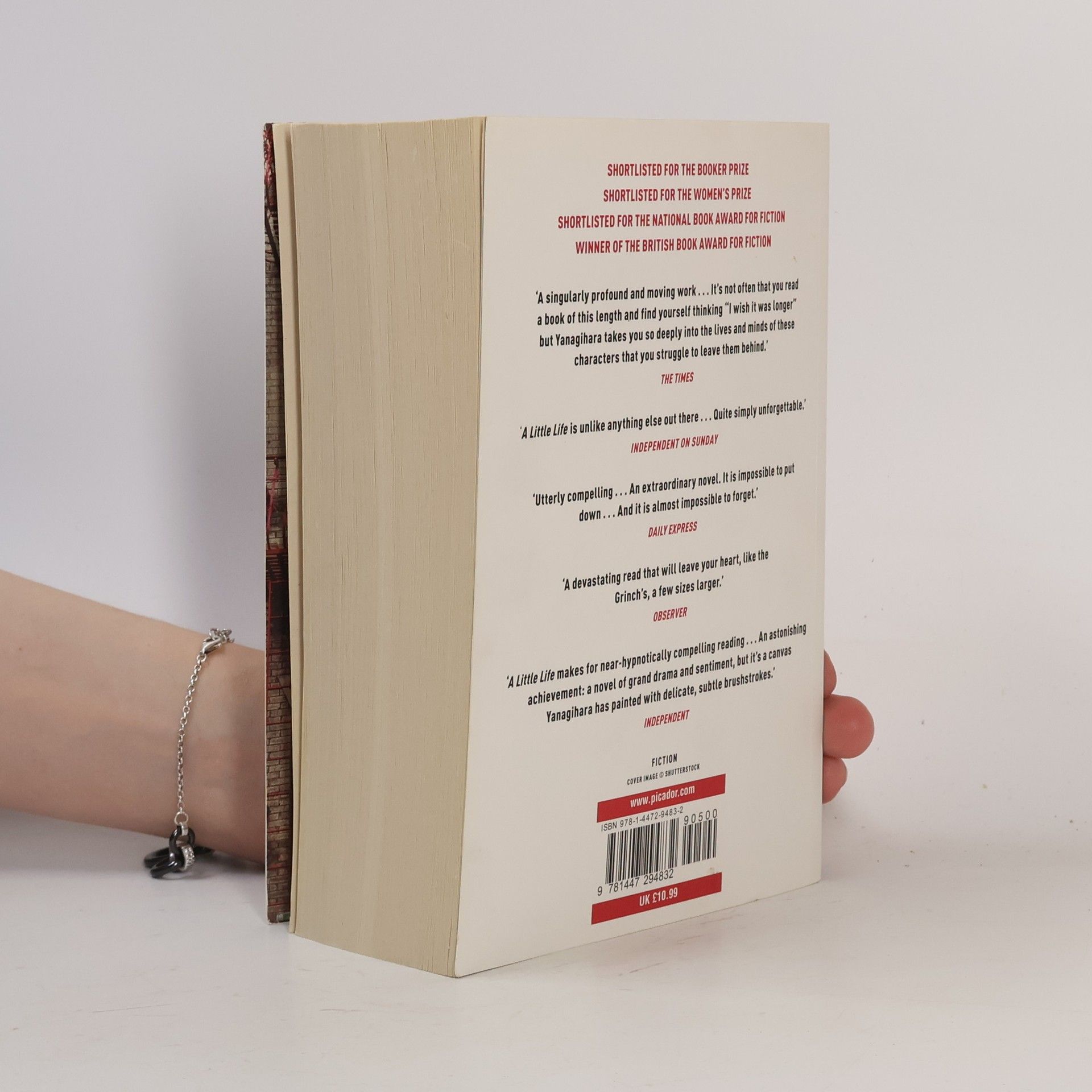 Hanya Yanagihara A Little Life