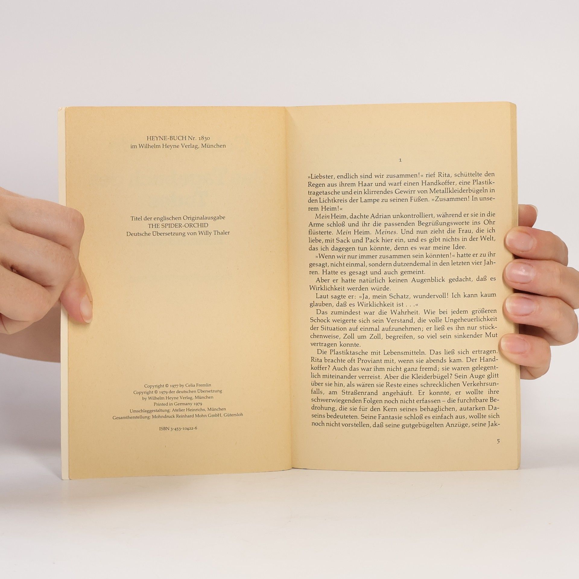 Celia Fremlin Das Tagebuch des Todes