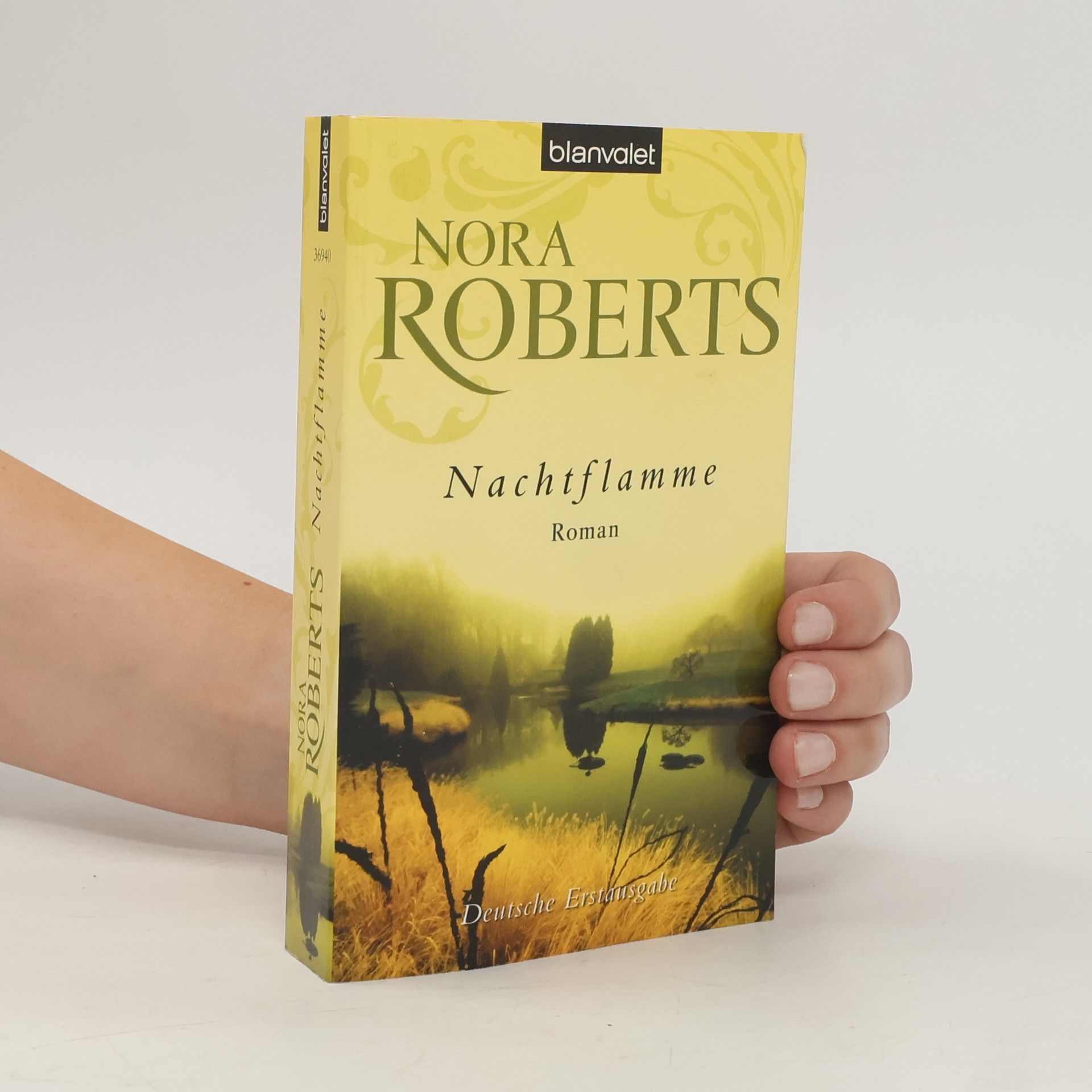 Nora Roberts Nachtflamme