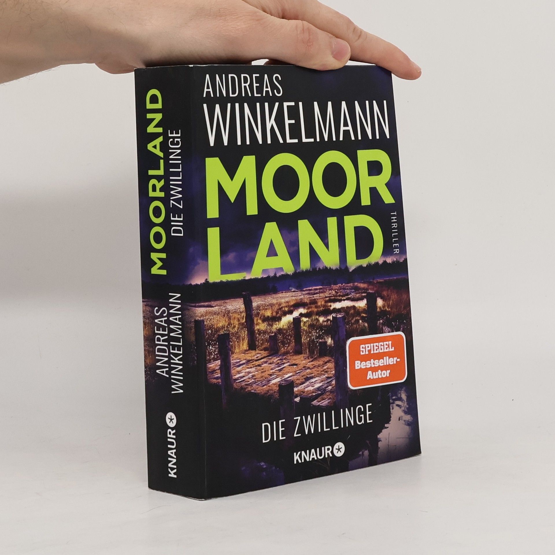 Hendrik Winter Moorland. Die Zwillinge