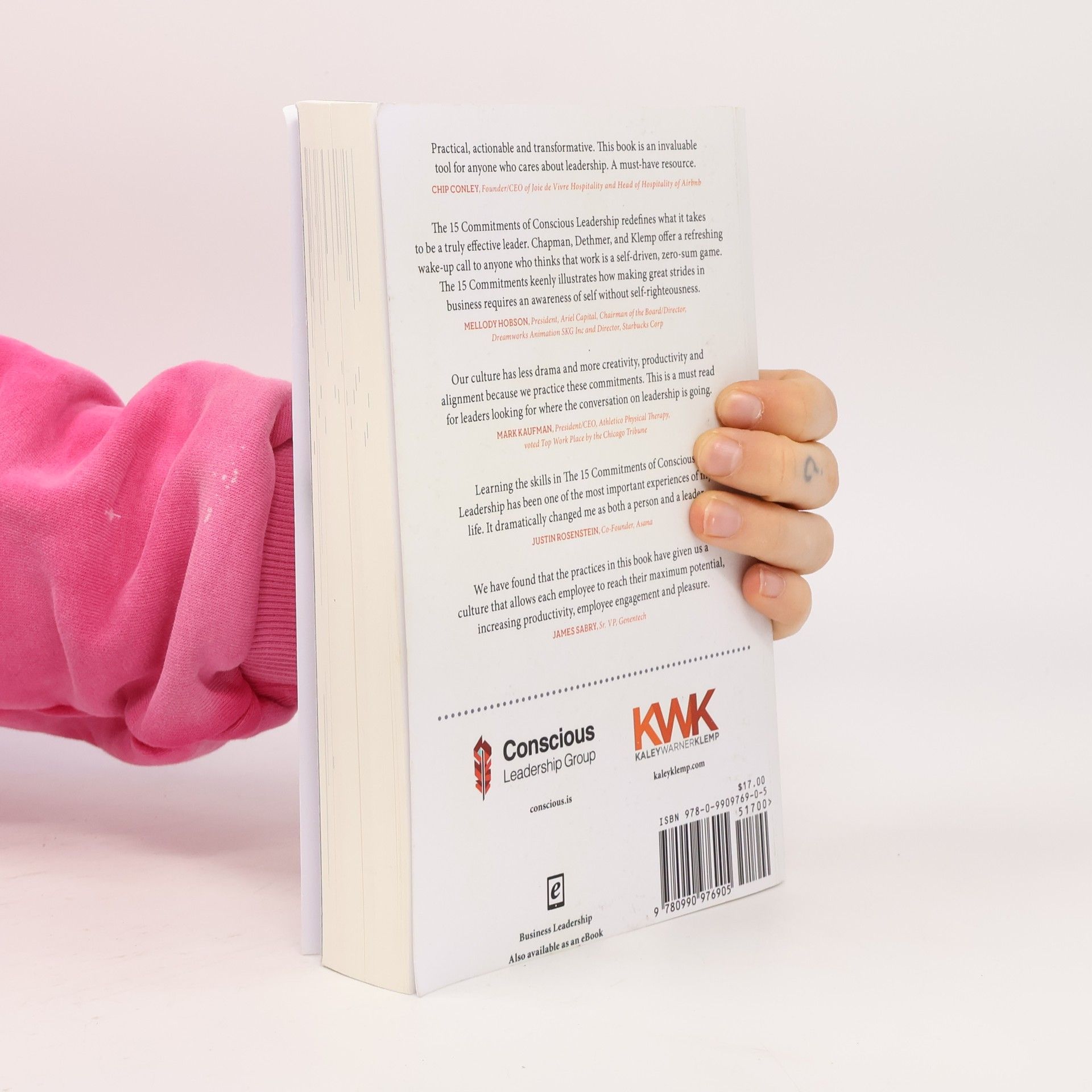 Kolektiv autorů The 15 Commitments of Conscious Leadership