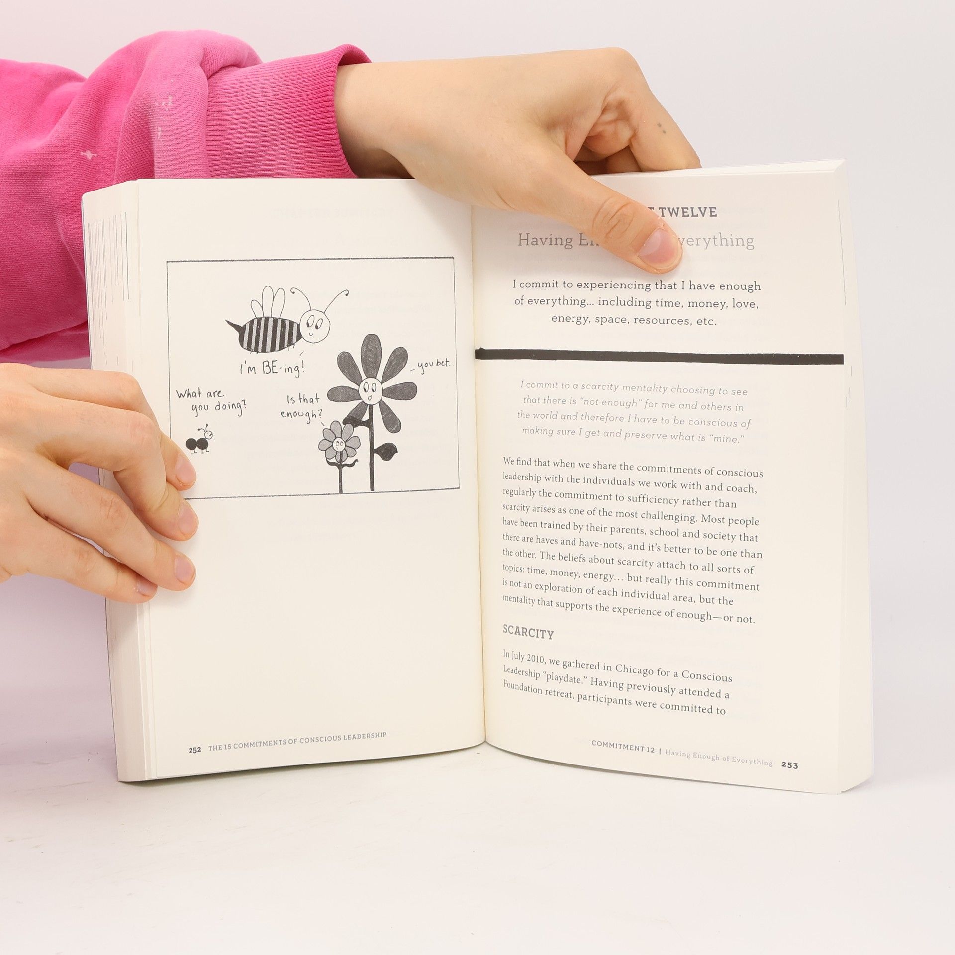 Kolektiv autorů The 15 Commitments of Conscious Leadership