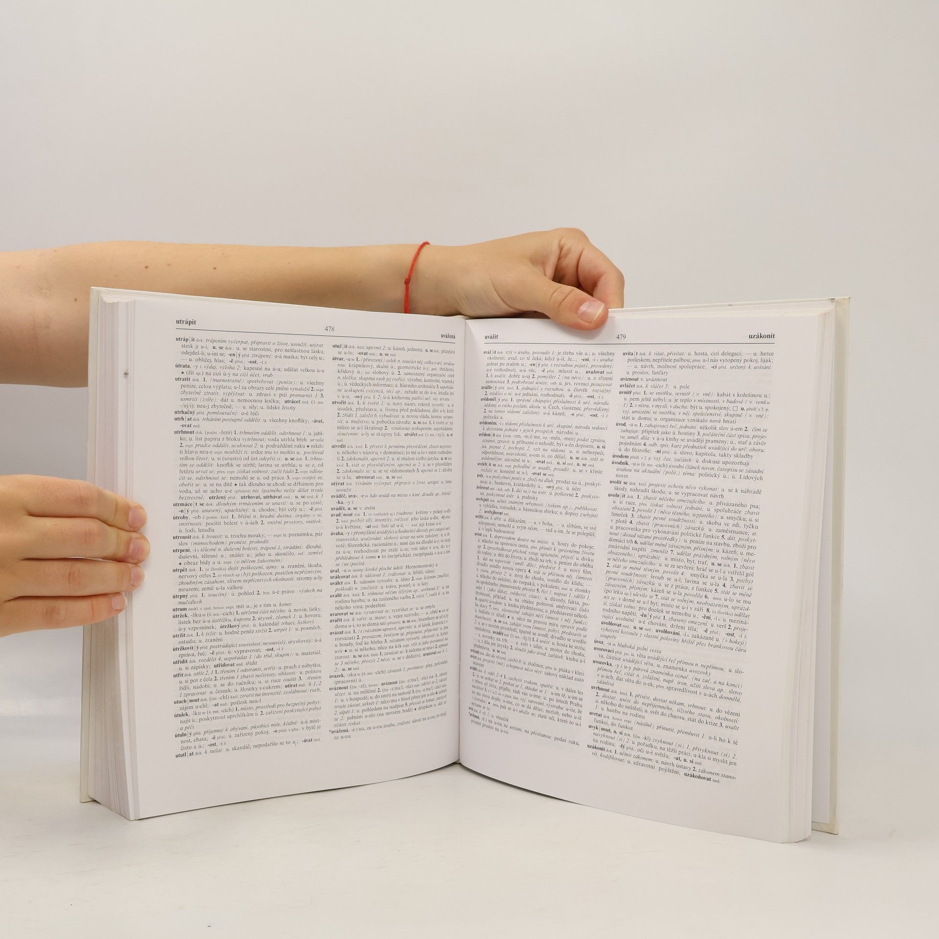Autores varios Slovník spisovné češtiny pro školu a veřejnost