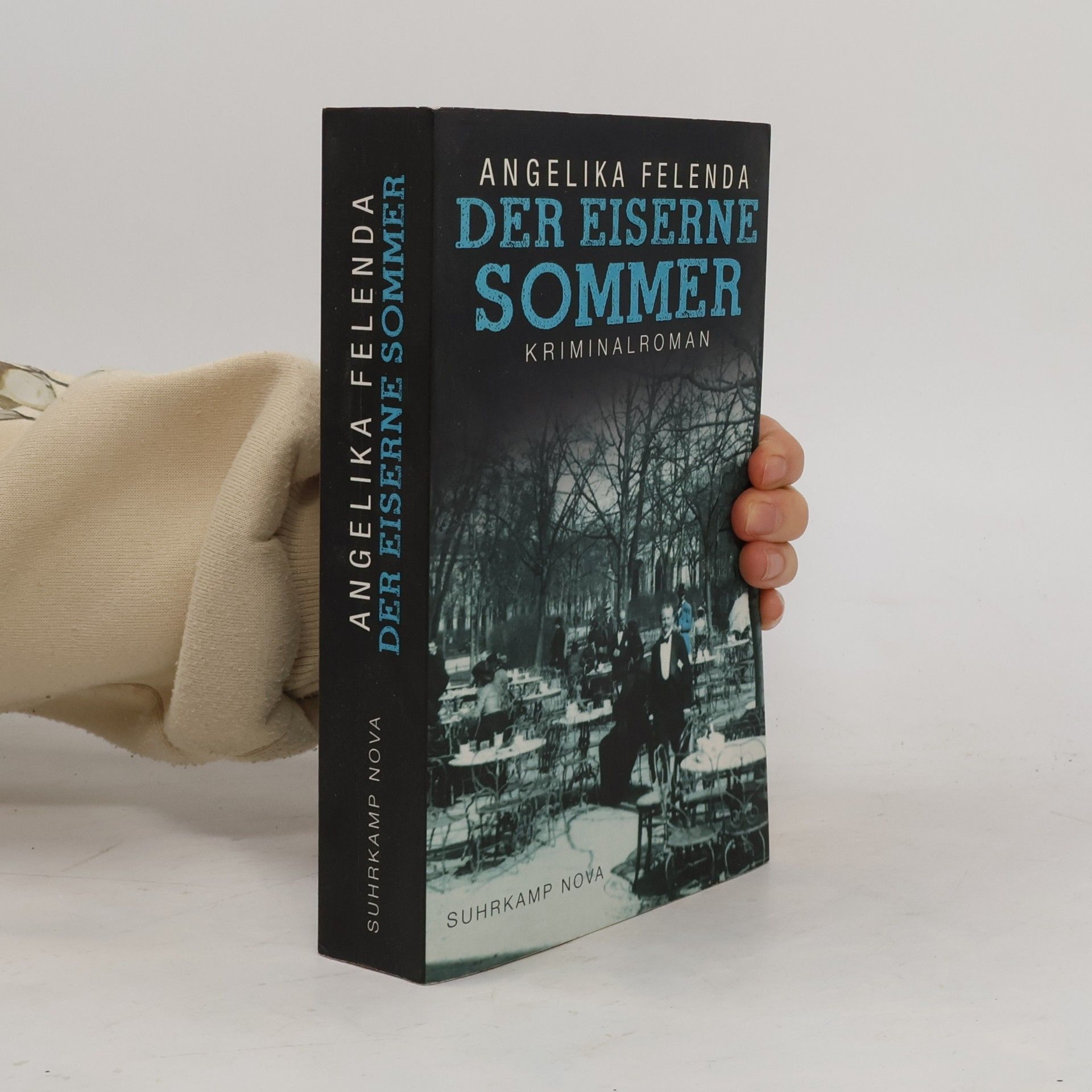 Angelika Felenda Der eiserne Sommer