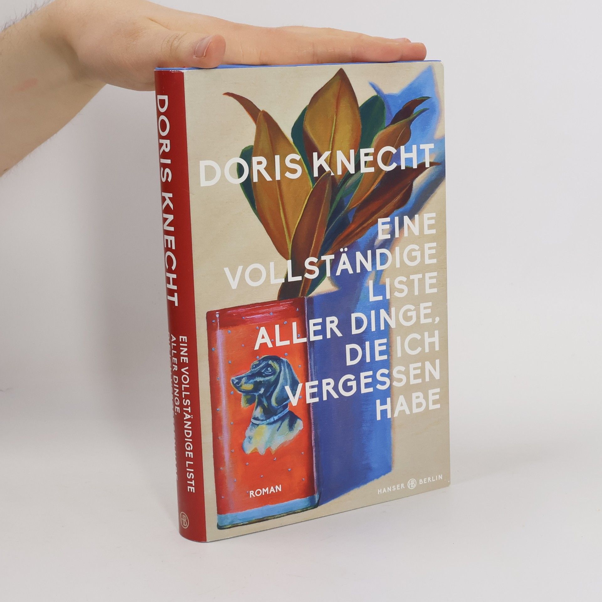 Doris Knecht Eine vollständige Liste aller Dinge, die ich vergessen habe