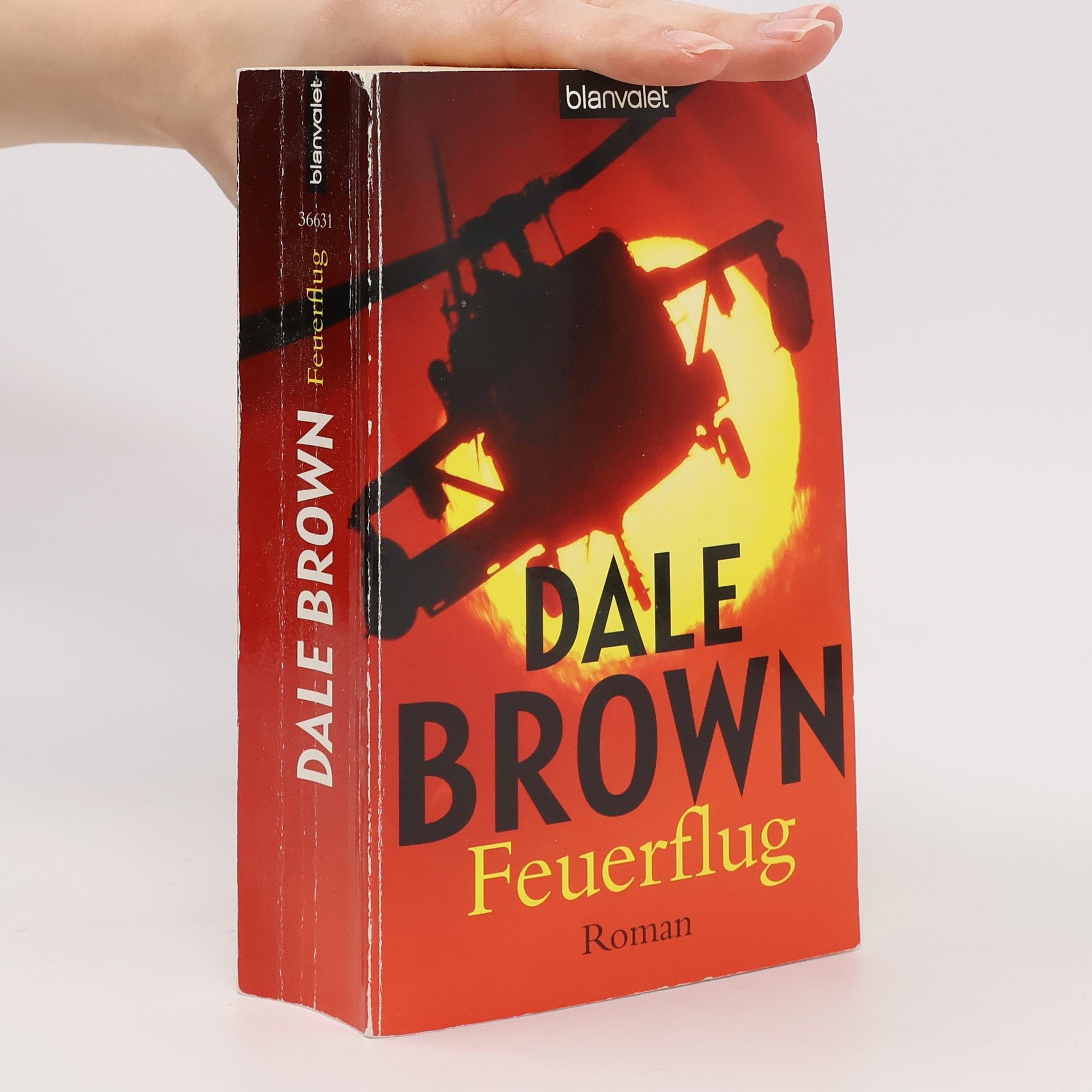 Dale Brown Feuerflug. Roman
