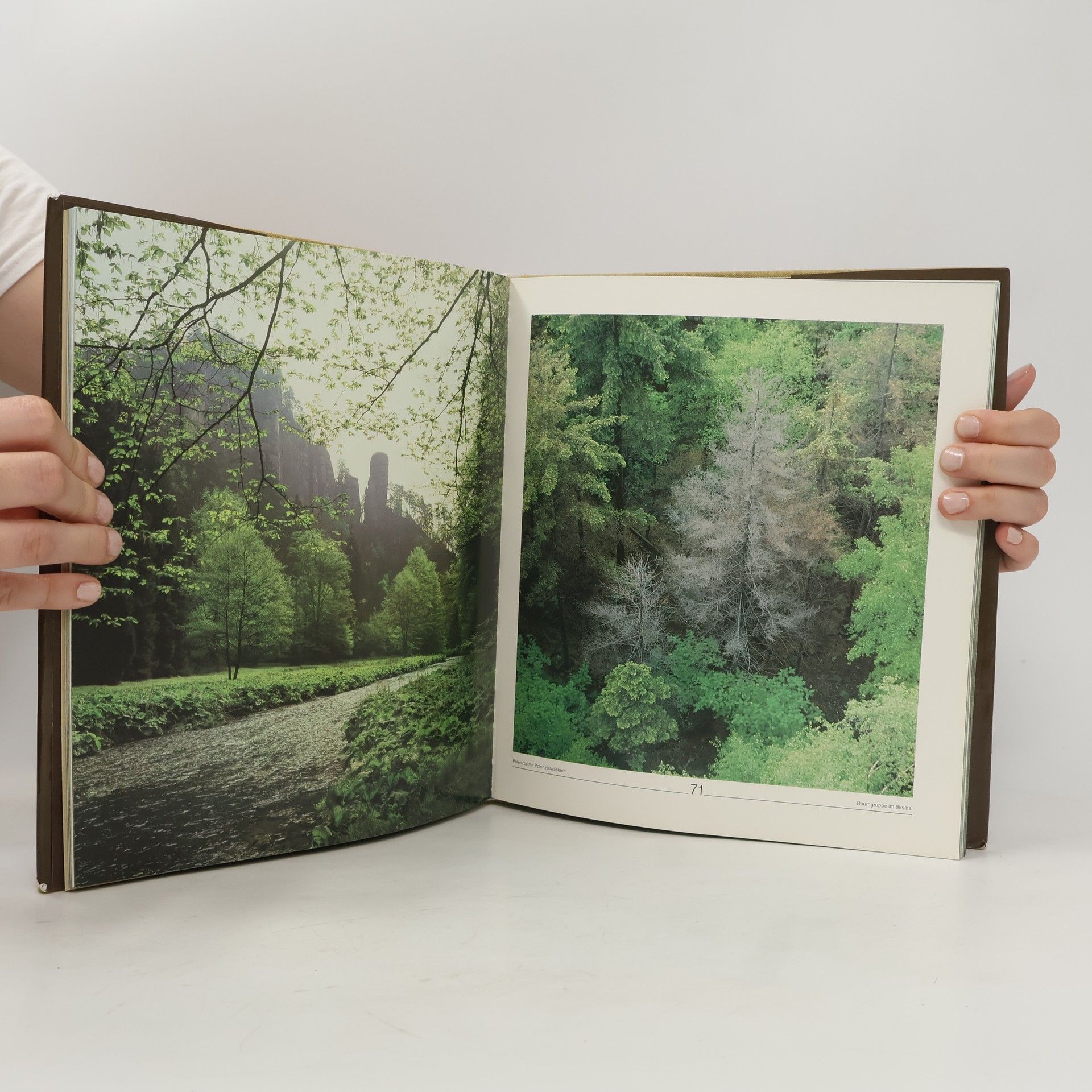 Klaus-Dieter Weber Sächsische Schweiz : Bilder einer Landschaft