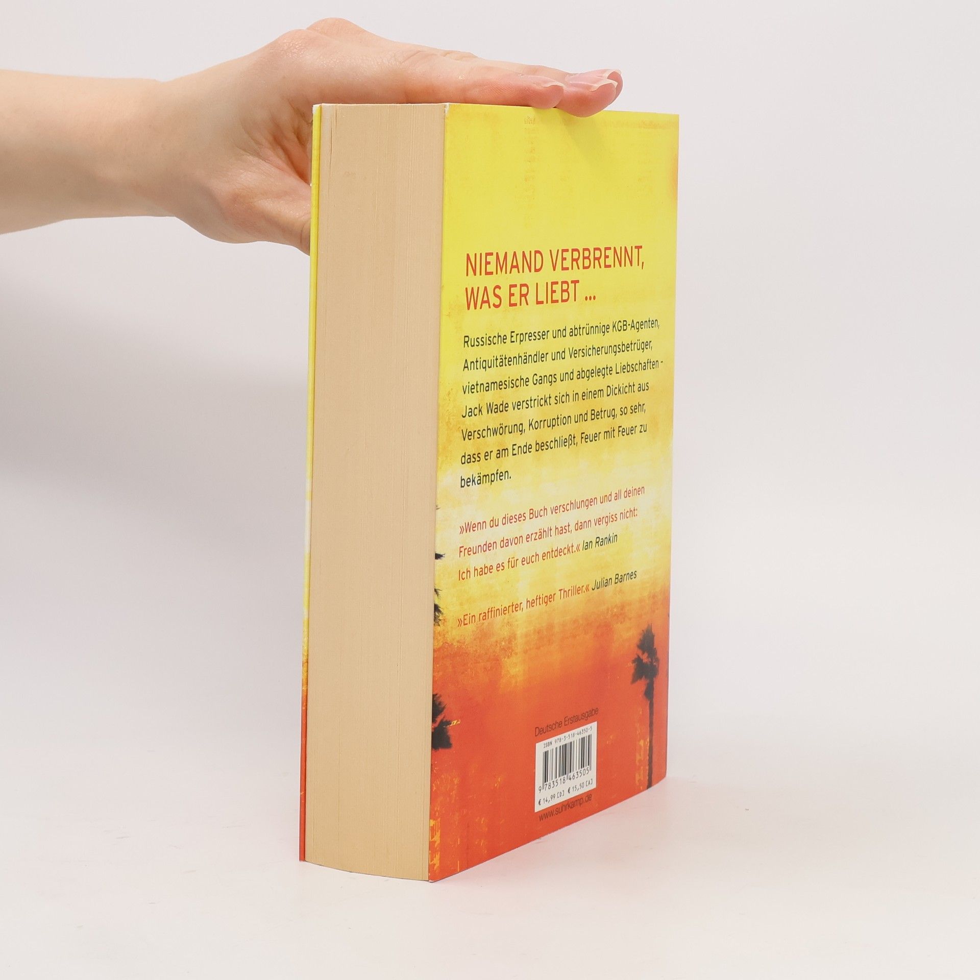 Don Winslow Die Sprache des Feuers