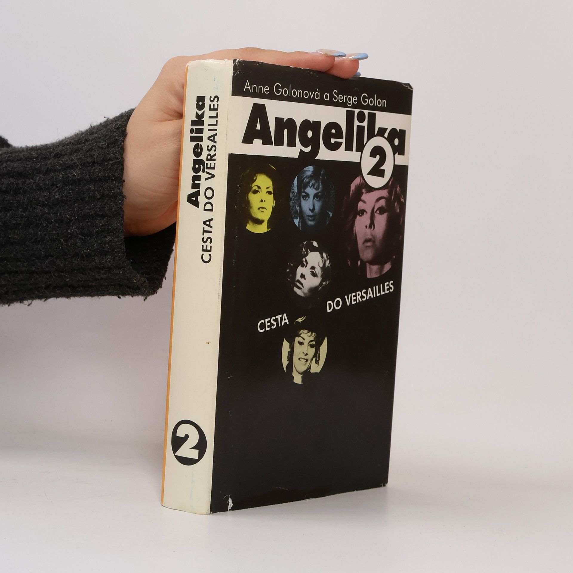 Anne Golon Angelika. Cesta do Versailles. 2. díl