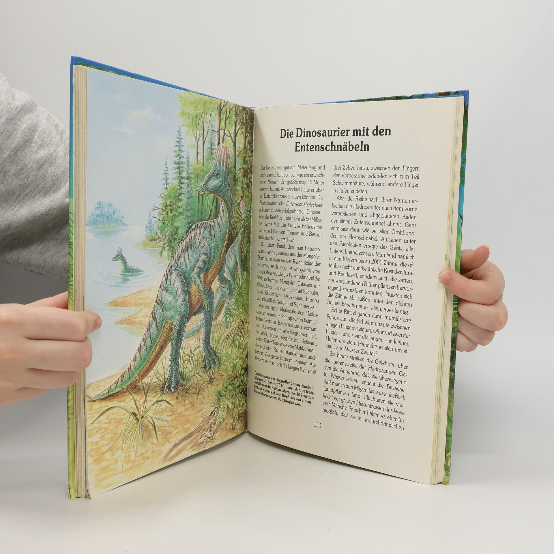 Klaus Gröper Das große Buch der Dinosaurier