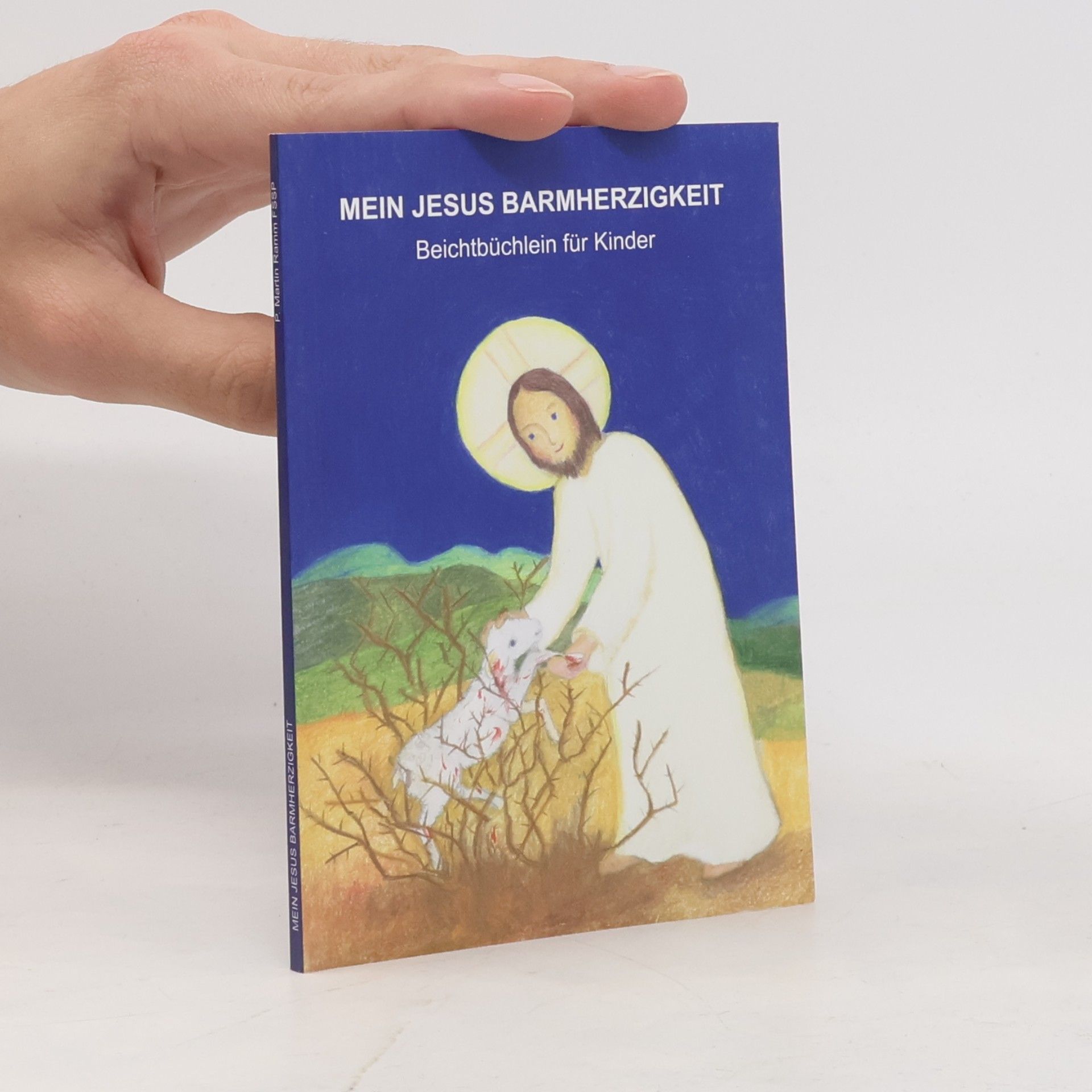 Martin Ramm Mein Jesus Barmherzigkeit