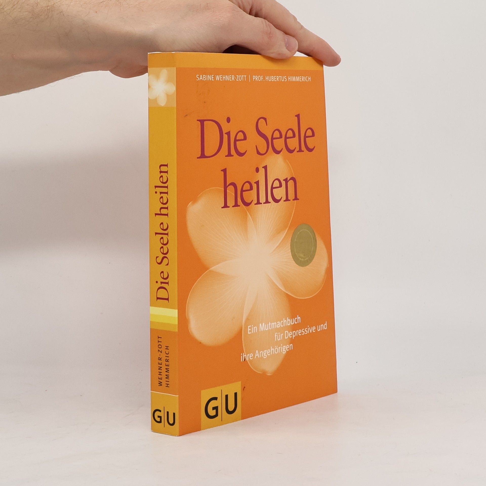 Sabine Wehner Zott Die Seele heilen