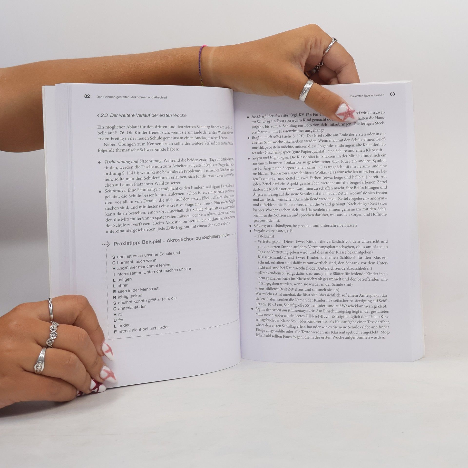 Birte Friedrichs Das Klassenlehrer-Buch für die Sekundarstufe