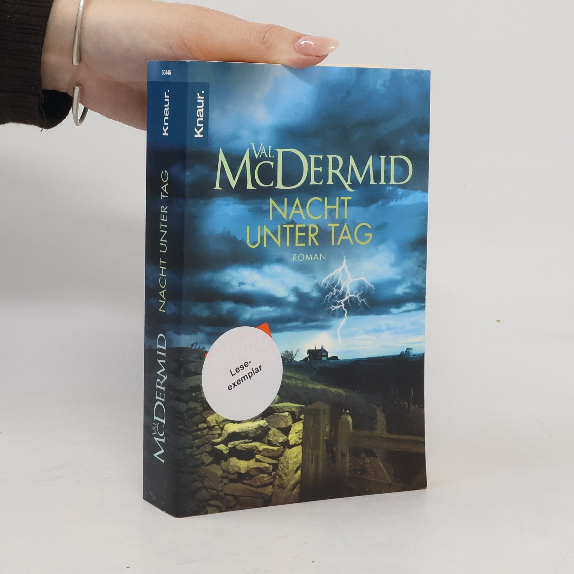 Val McDermid Karen Pirie 2. Nacht unter Tag
