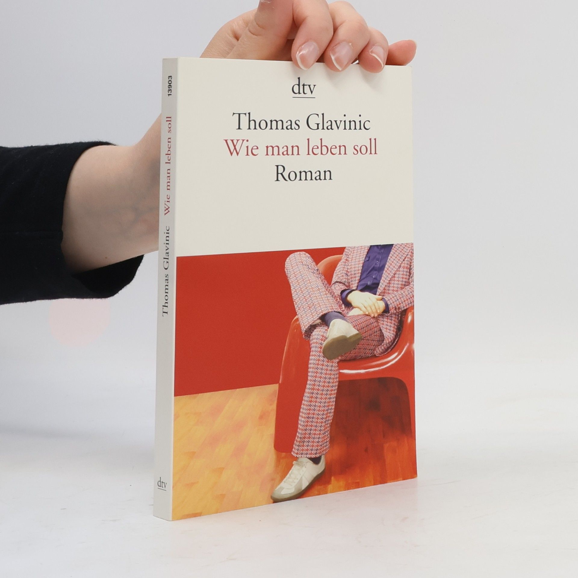 Thomas Glavinic Wie Man leben Soll