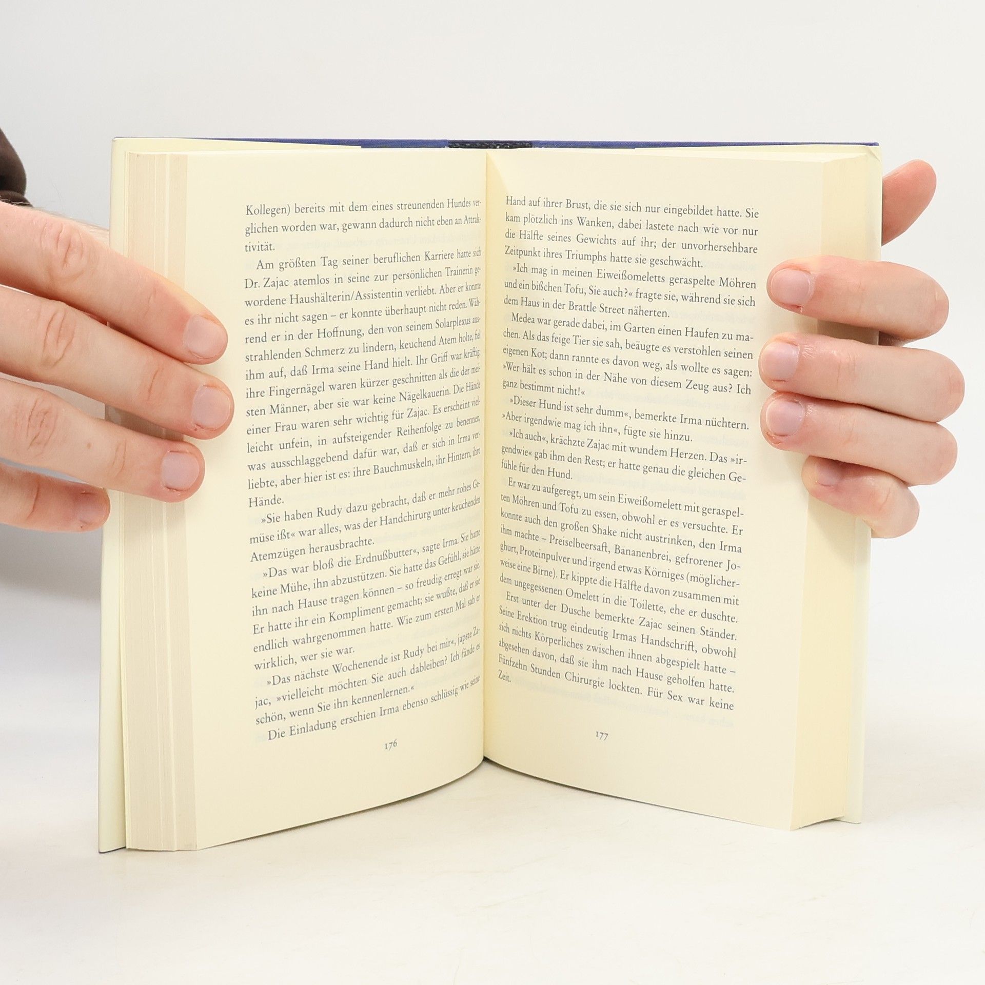 John Irving Die vierte Hand