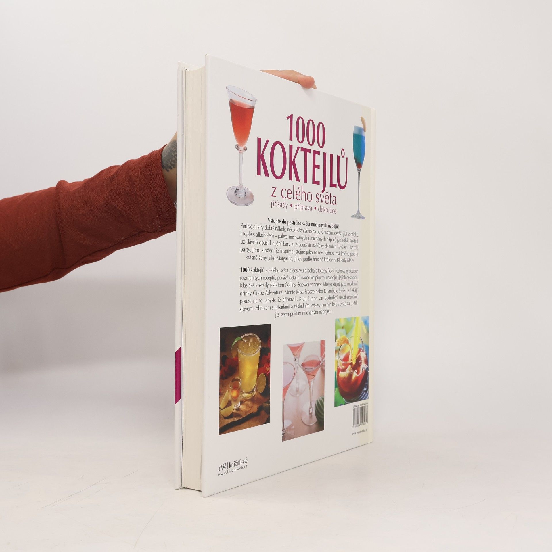 Autorenkollektiv 1000 koktejlů z celého světa : přísady, příprava, dekorace