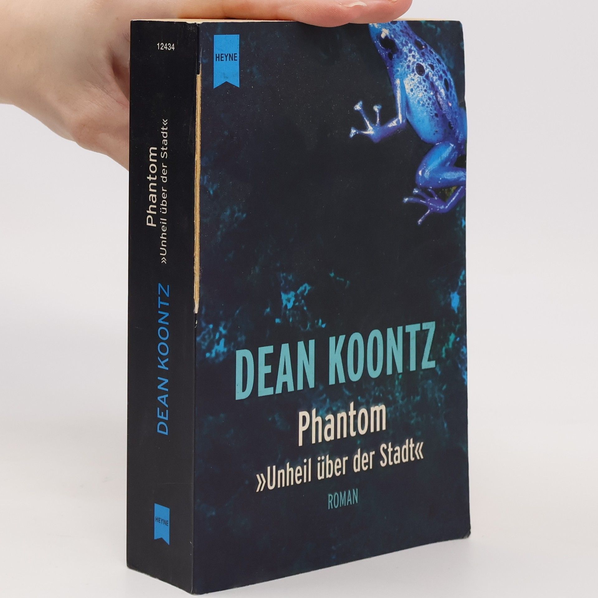 Dean Ray Koontz Phantom. Unheil über der Stadt.